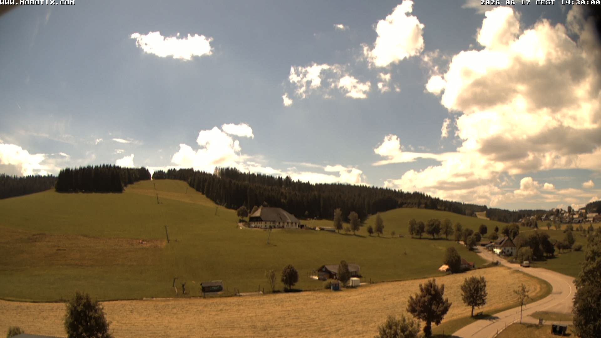 Archiv Foto Webcam Schneeberglift Waldau, Titisee