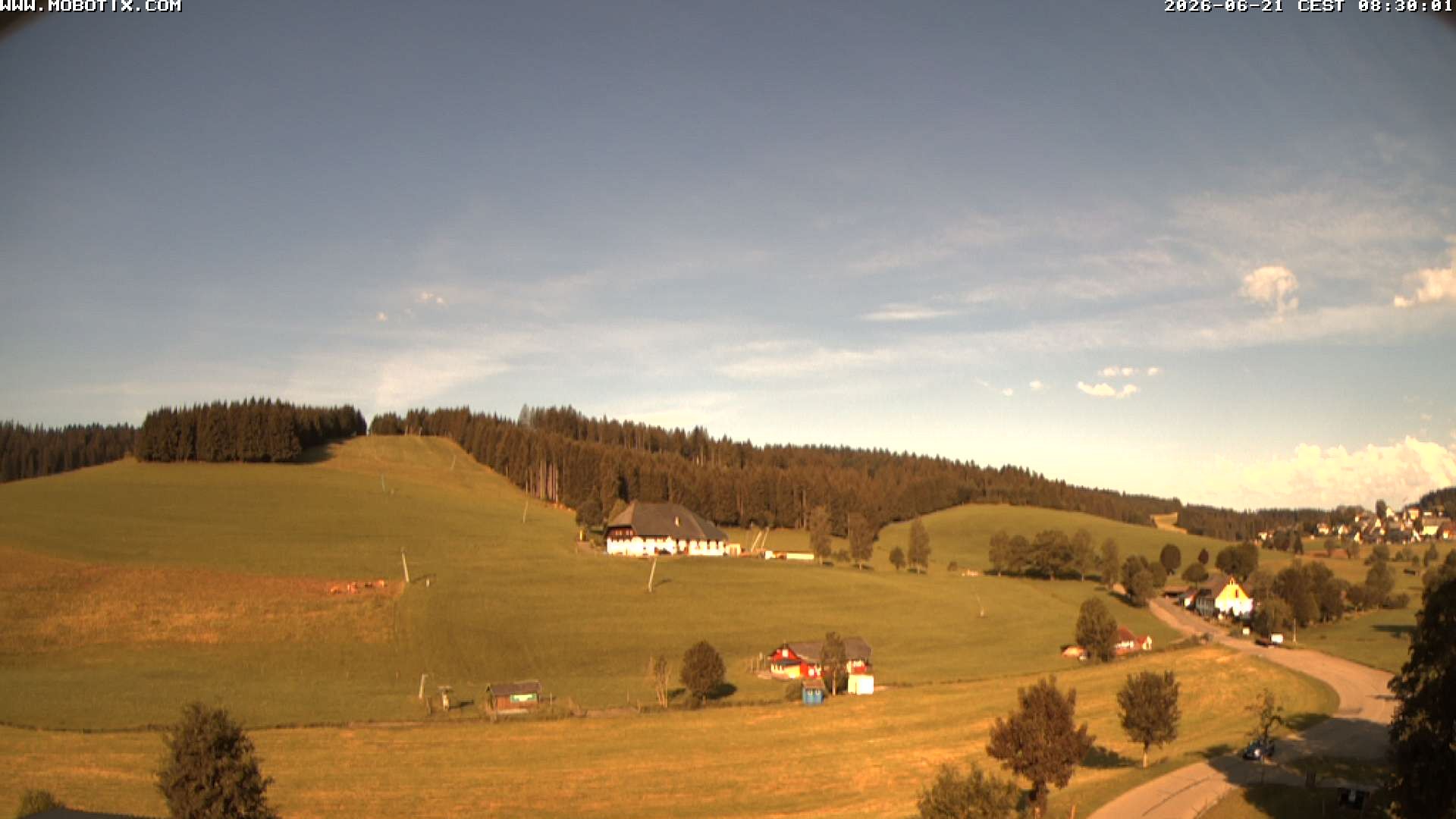 Archiv Foto Webcam Schneeberglift Waldau, Titisee