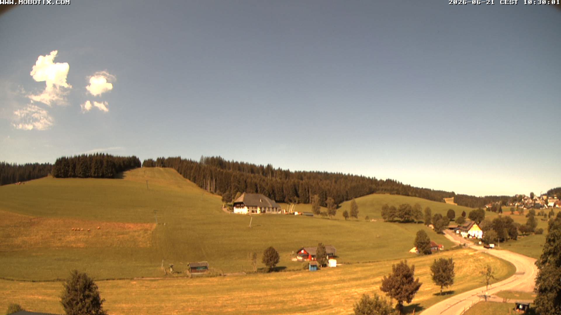 Archiv Foto Webcam Schneeberglift Waldau, Titisee