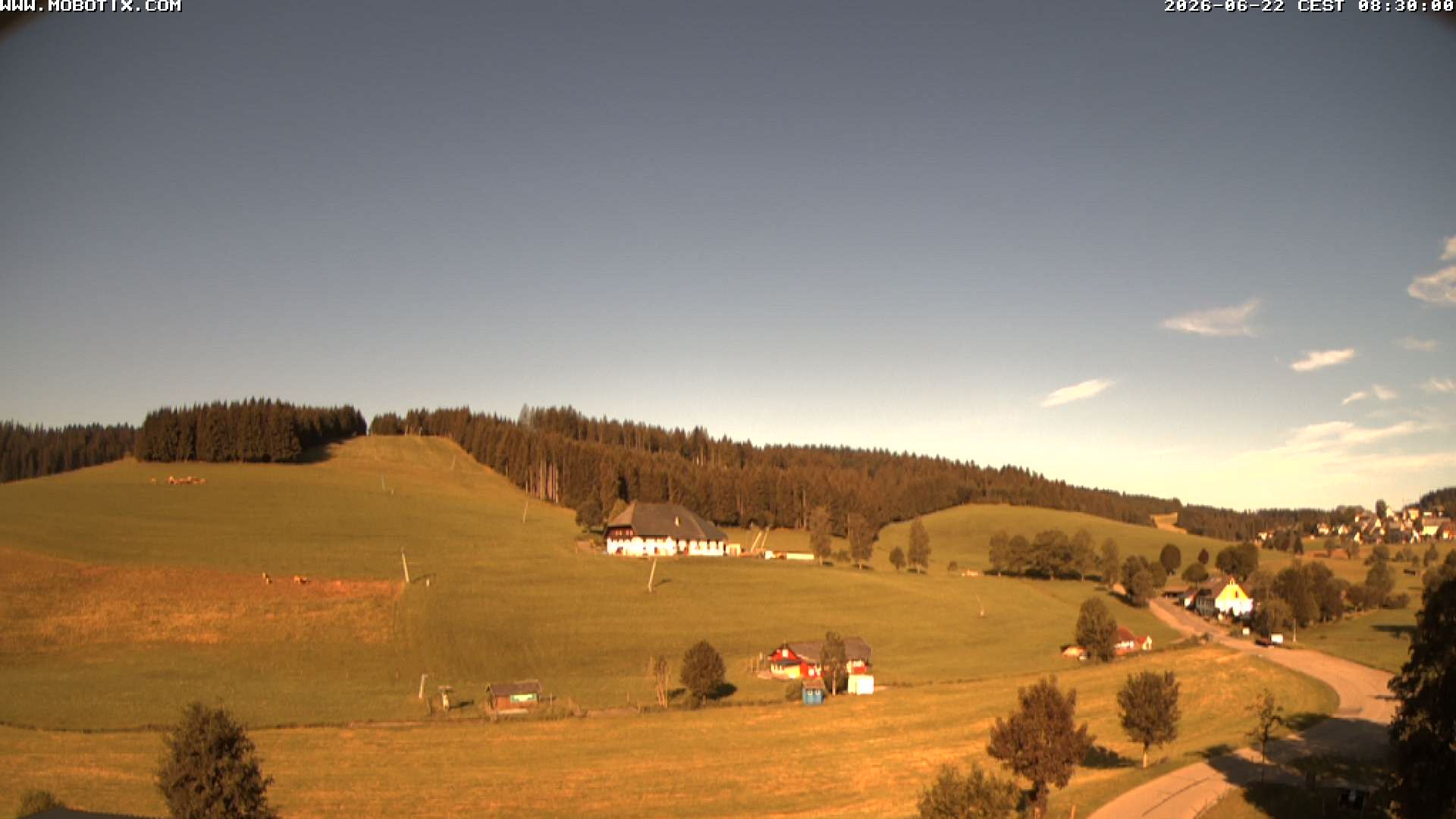 Archived image Webcam Schneeberg ski lift (Titisee)