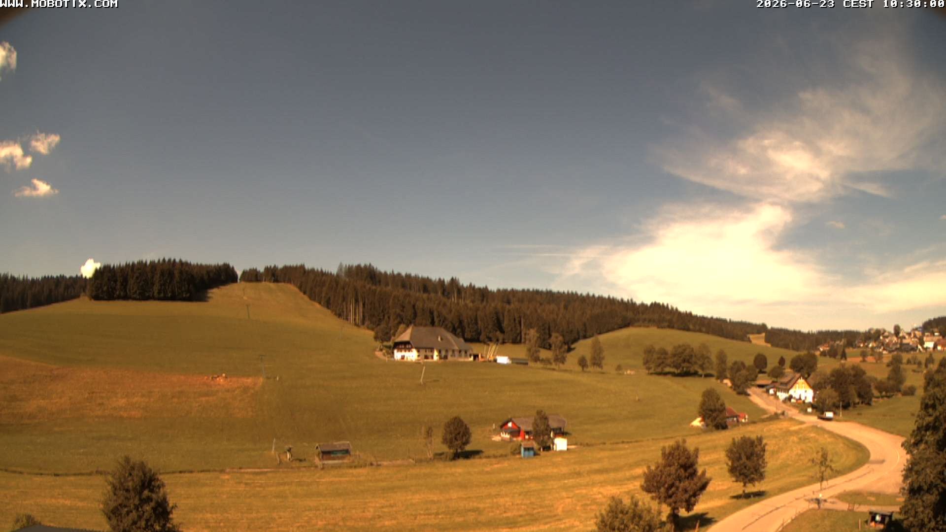 Archived image Webcam Schneeberg ski lift (Titisee)