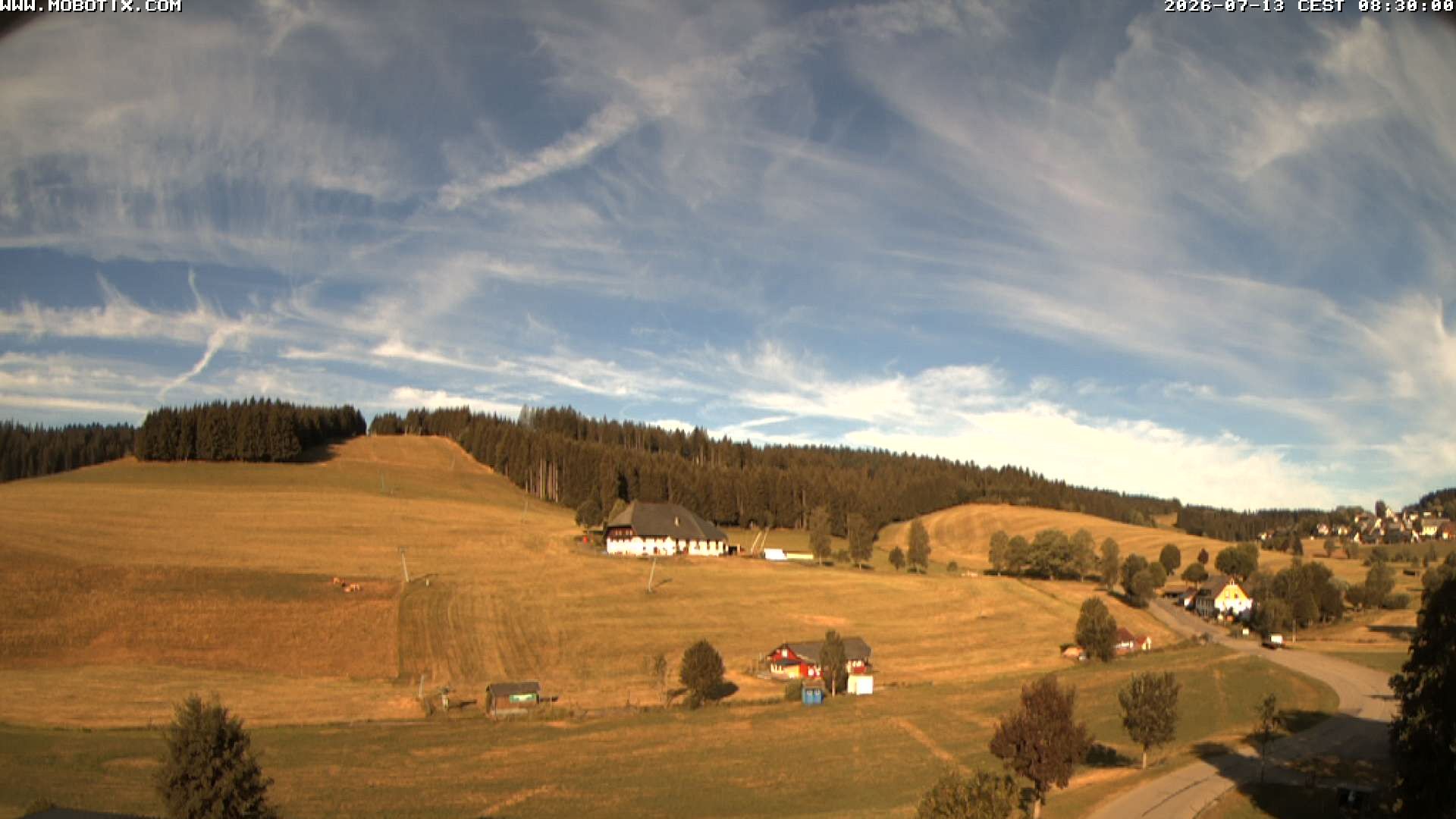 Archived image Webcam Schneeberg ski lift (Titisee)