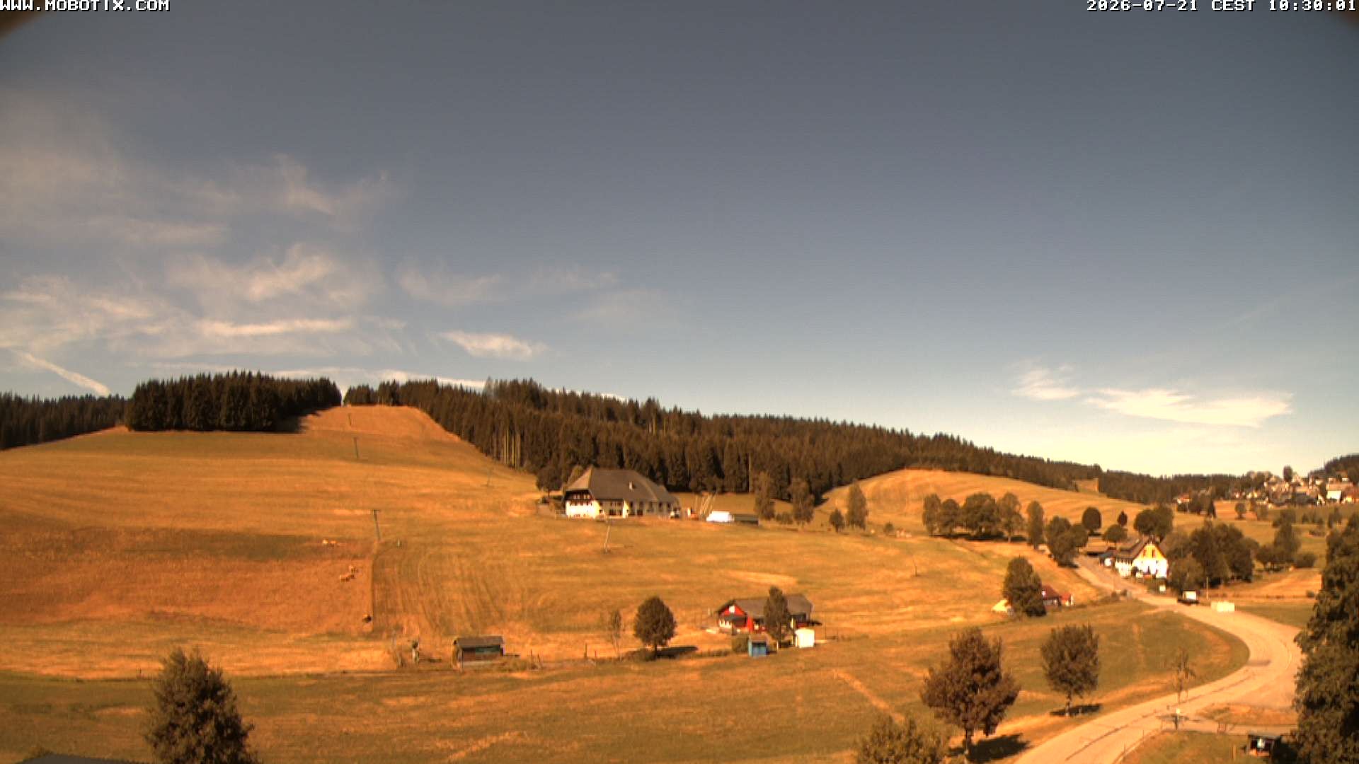 Archiv Foto Webcam Schneeberglift Waldau, Titisee