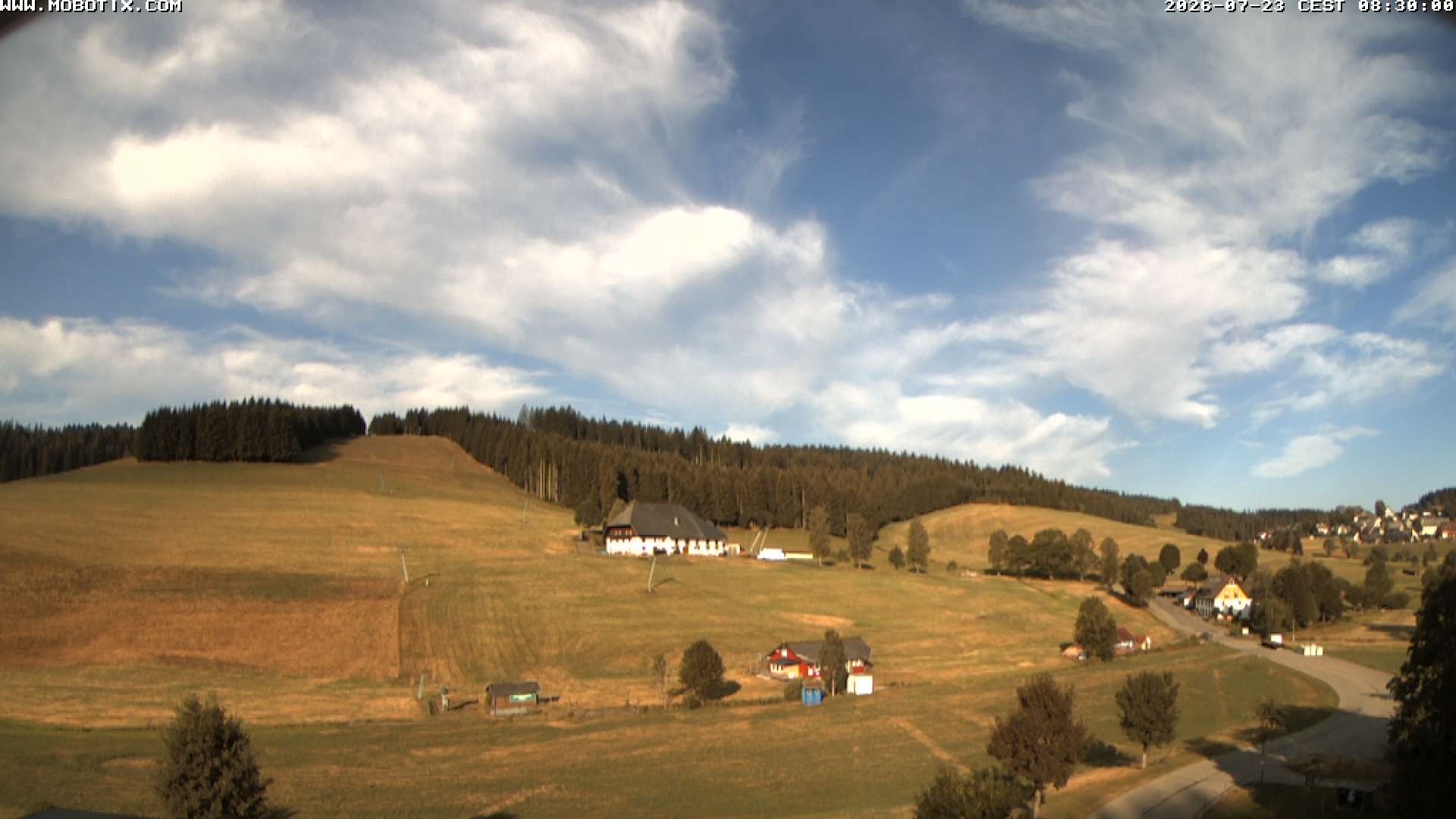 Archiv Foto Webcam Schneeberglift Waldau, Titisee