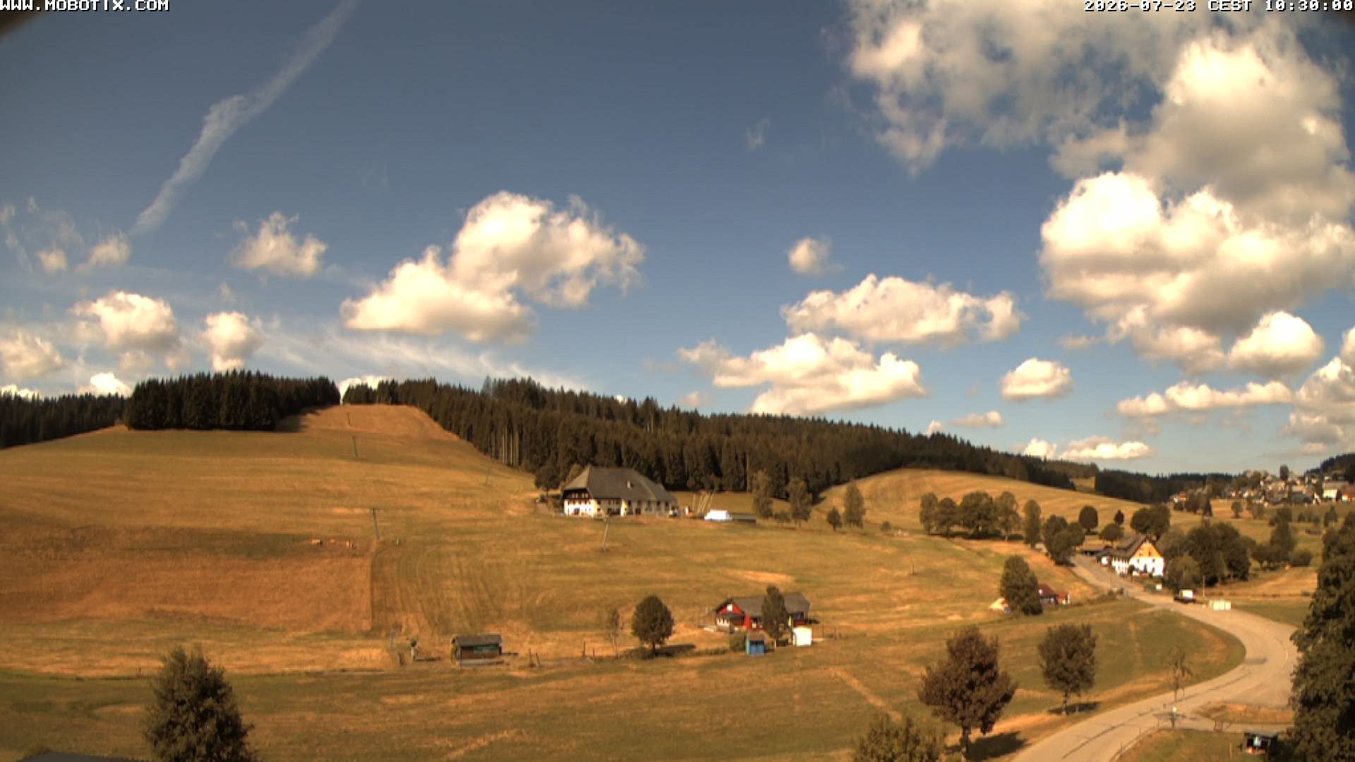 Archiv Foto Webcam Schneeberglift Waldau, Titisee