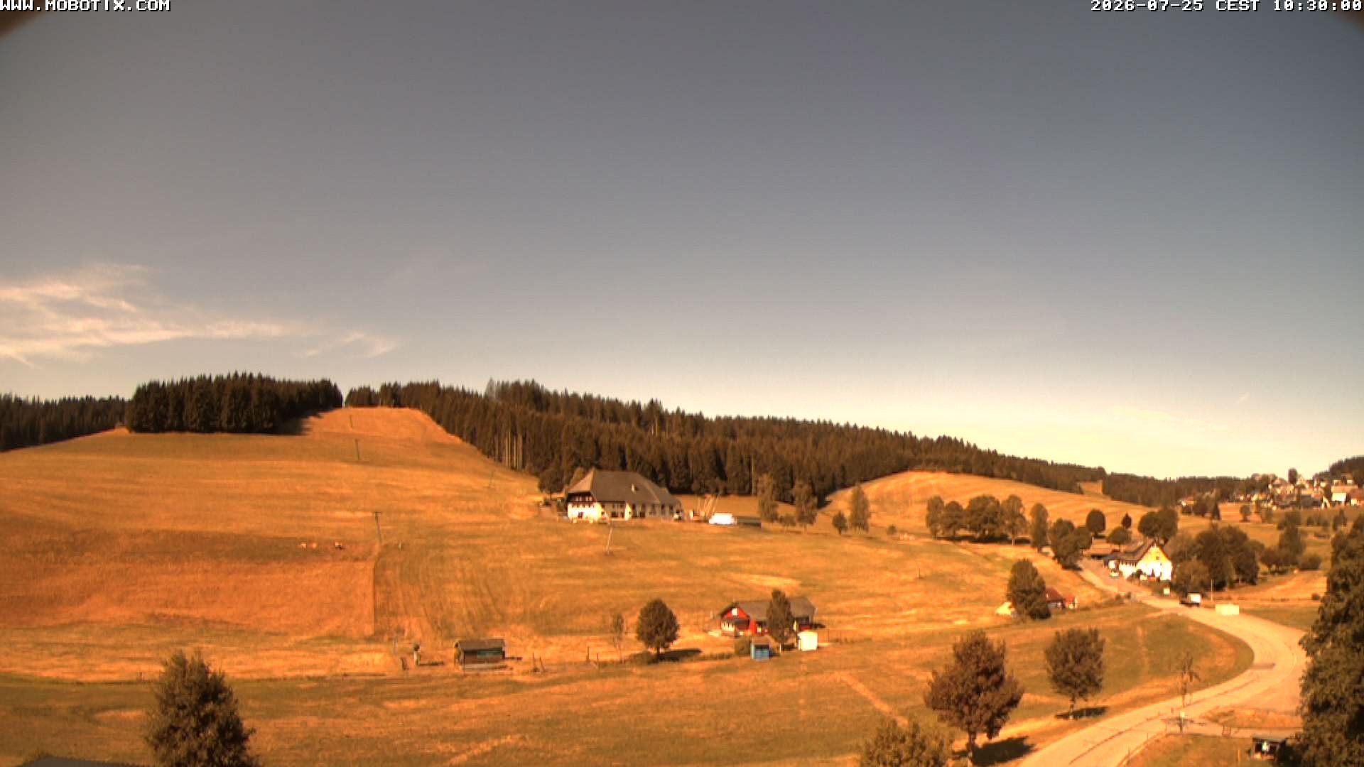 Archived image Webcam Schneeberg ski lift (Titisee)