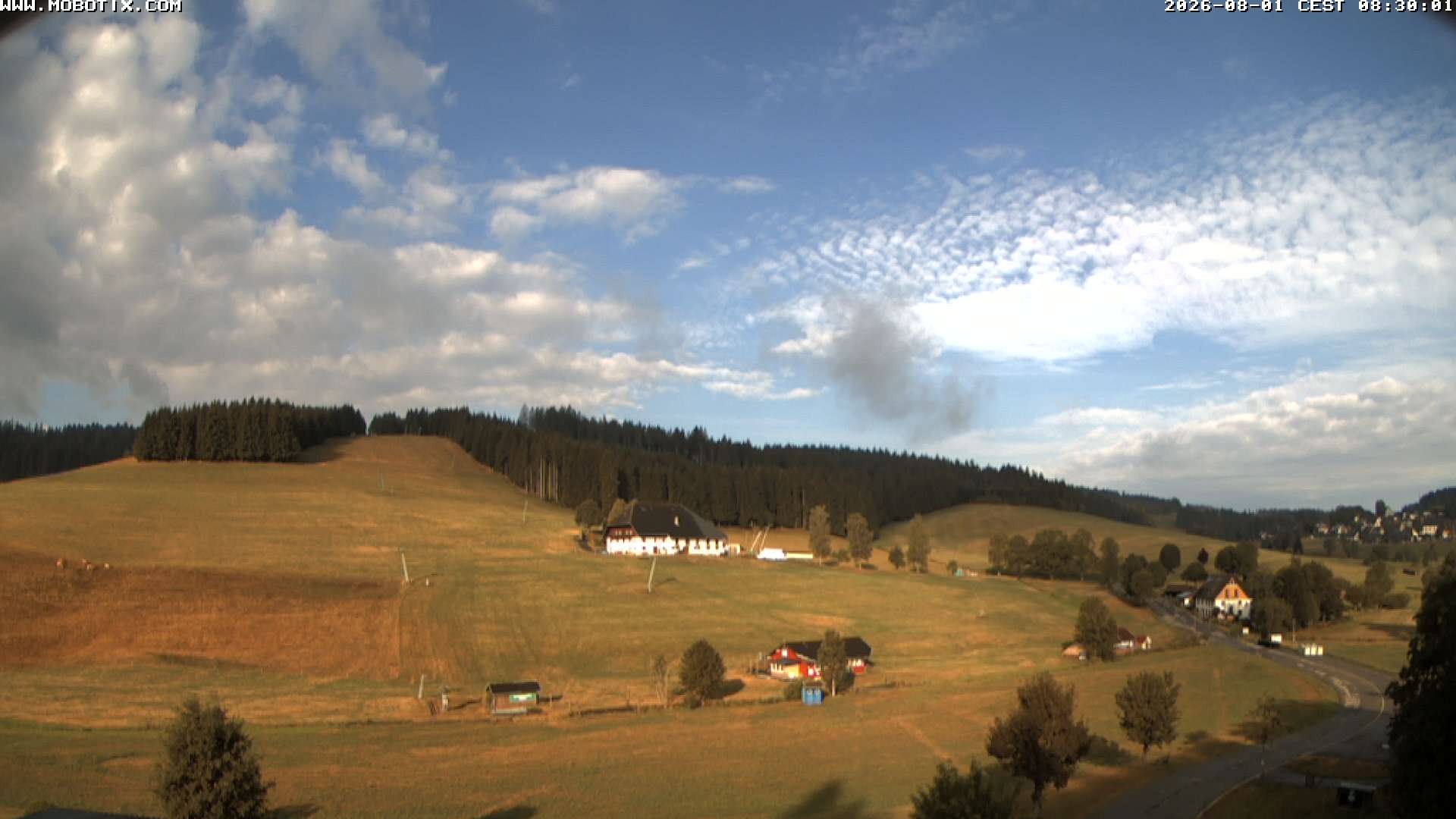 Archiv Foto Webcam Schneeberglift Waldau, Titisee