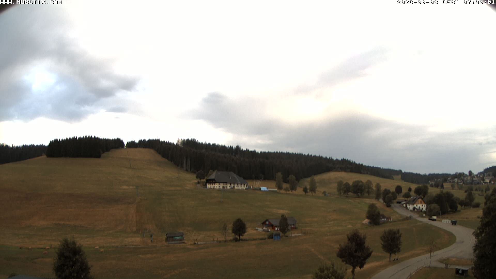 Archiv Foto Webcam Schneeberglift Waldau, Titisee