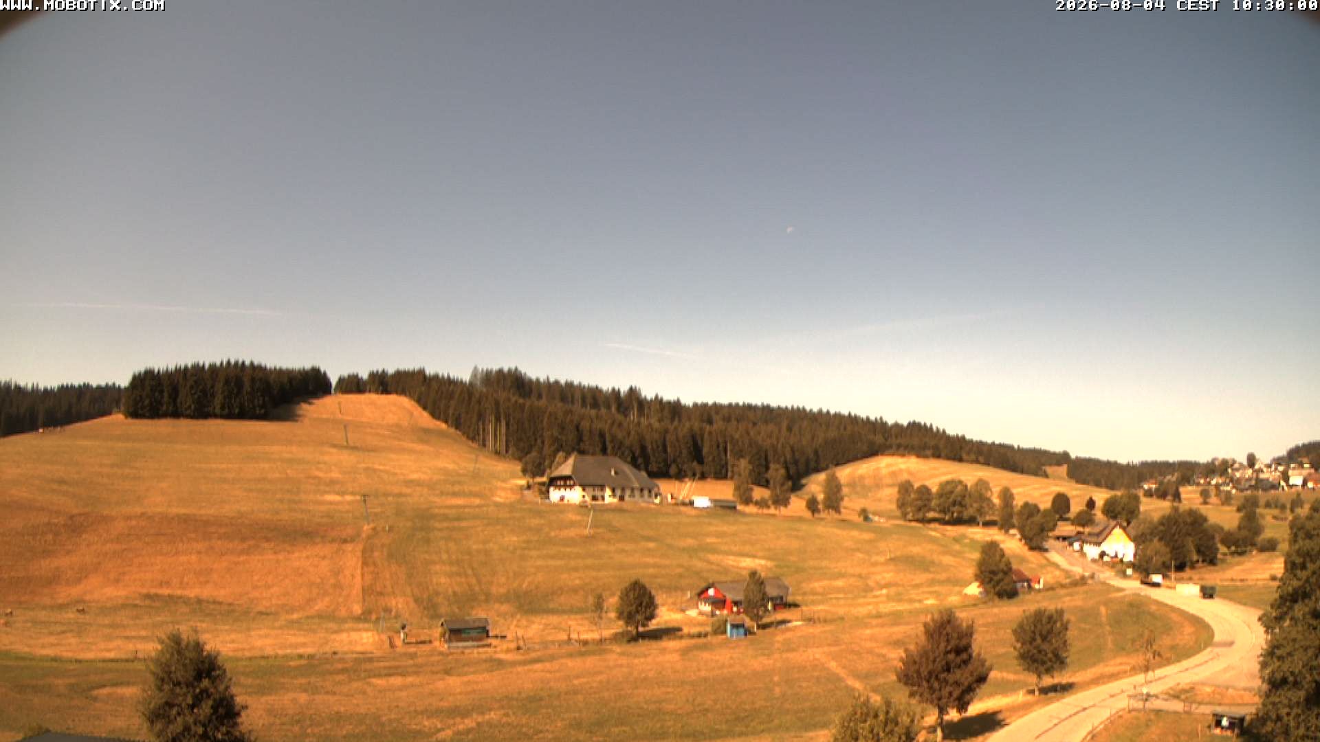 Archiv Foto Webcam Schneeberglift Waldau, Titisee