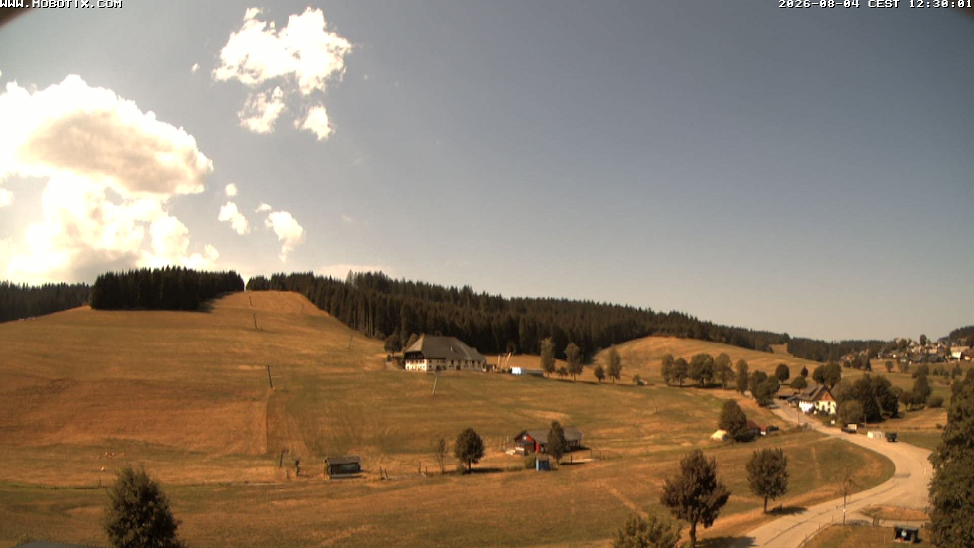 Archiv Foto Webcam Schneeberglift Waldau, Titisee