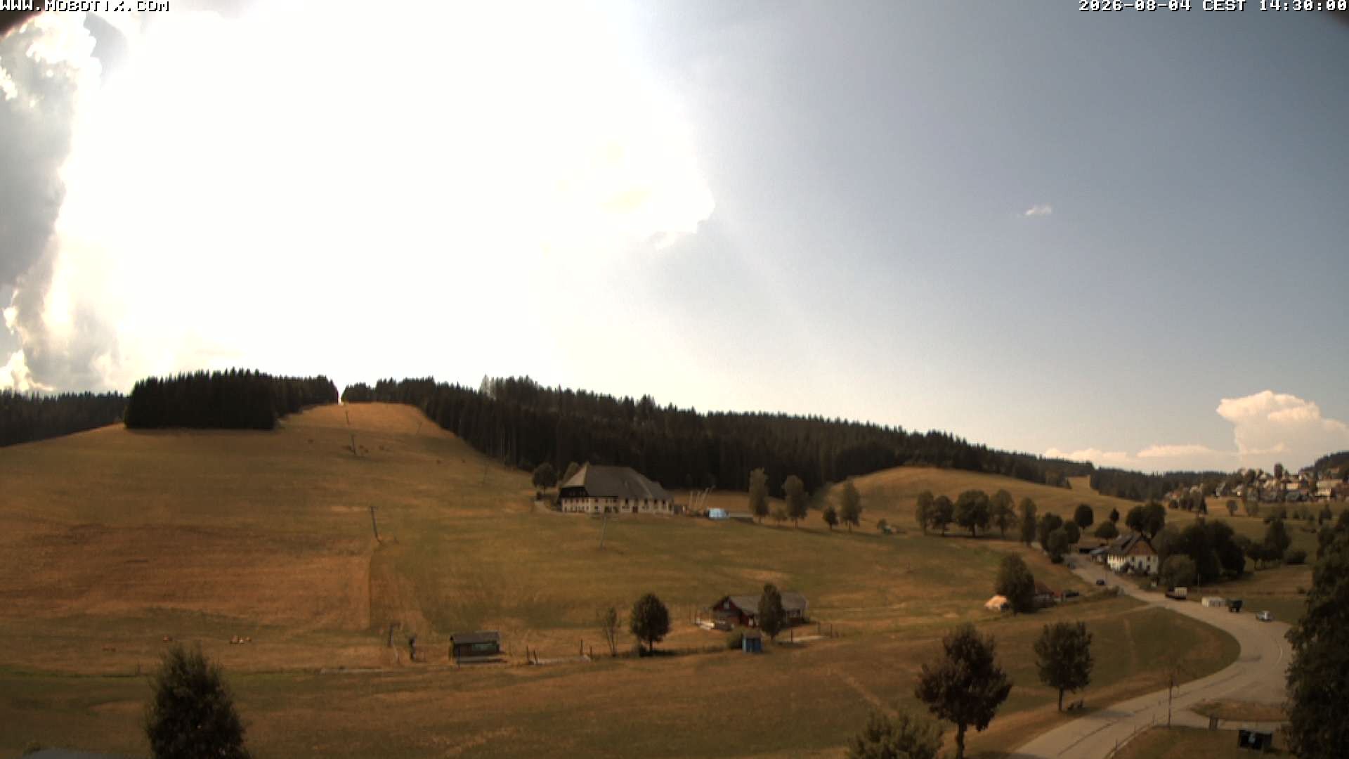 Archiv Foto Webcam Schneeberglift Waldau, Titisee