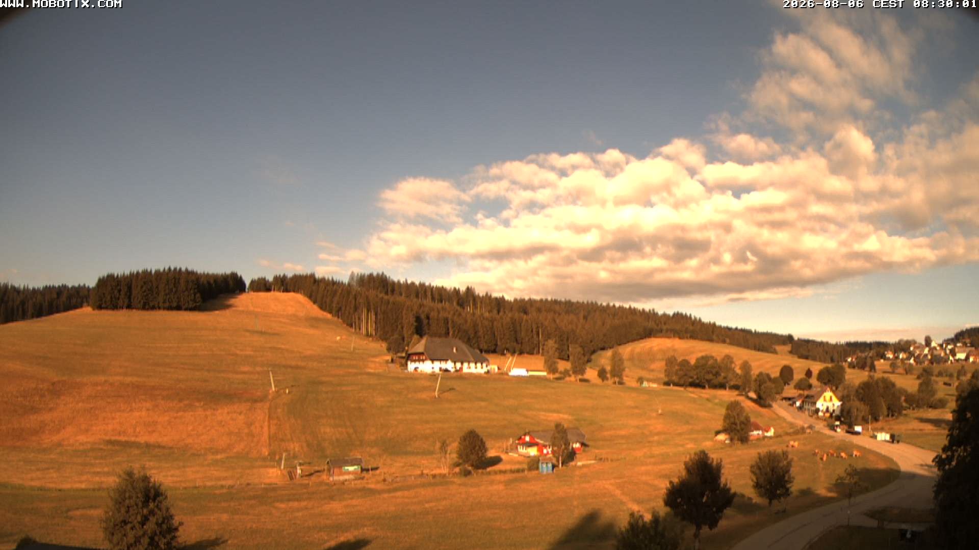 Archiv Foto Webcam Schneeberglift Waldau, Titisee