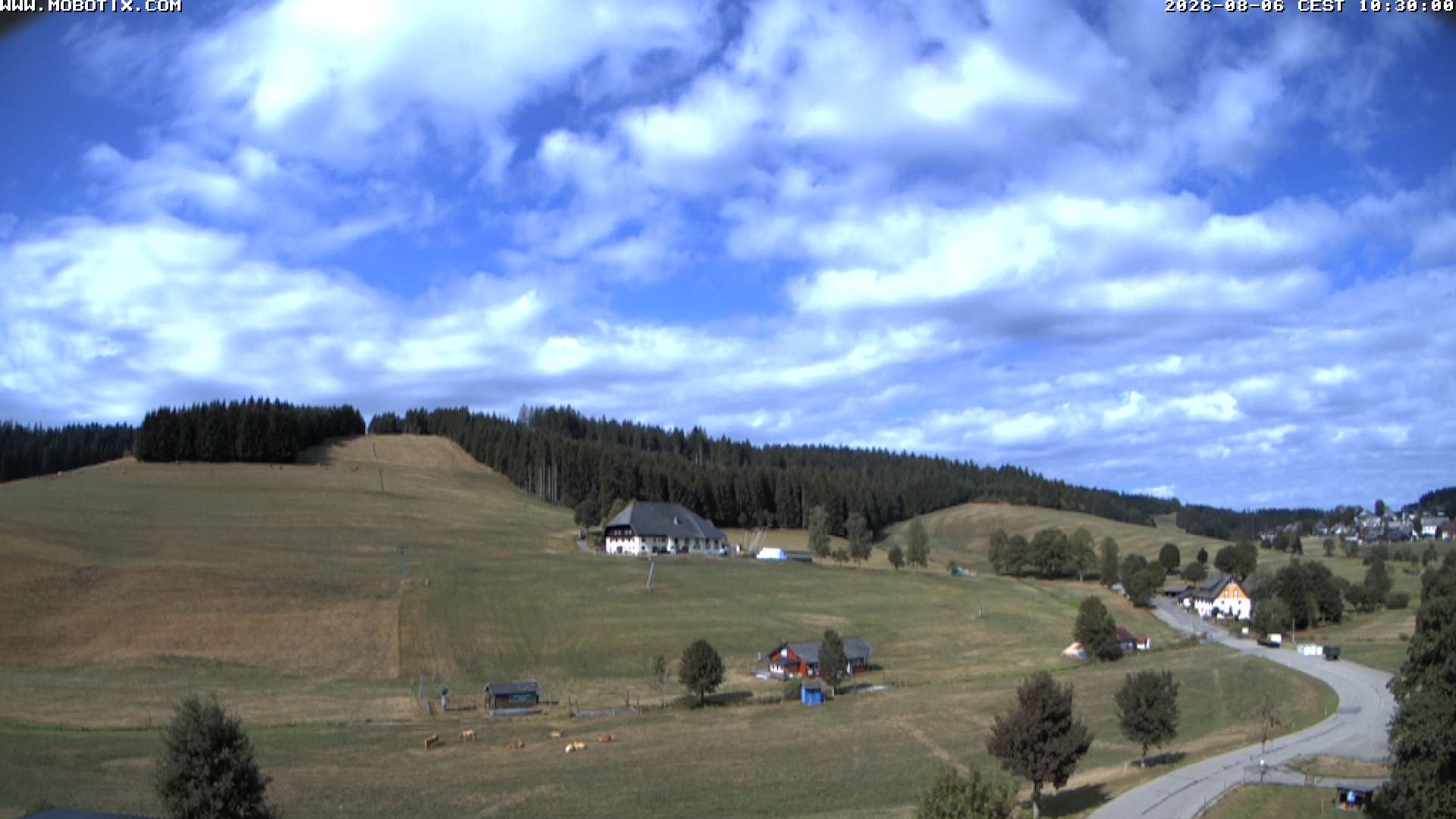 Archiv Foto Webcam Schneeberglift Waldau, Titisee