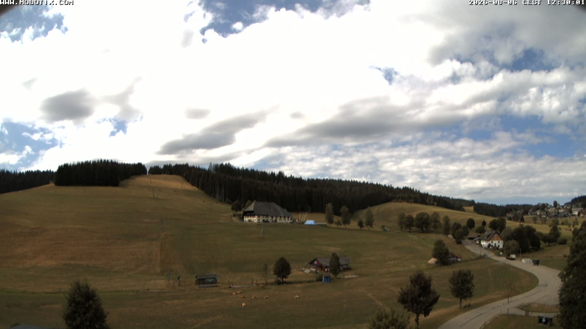 Archiv Foto Webcam Schneeberglift Waldau, Titisee