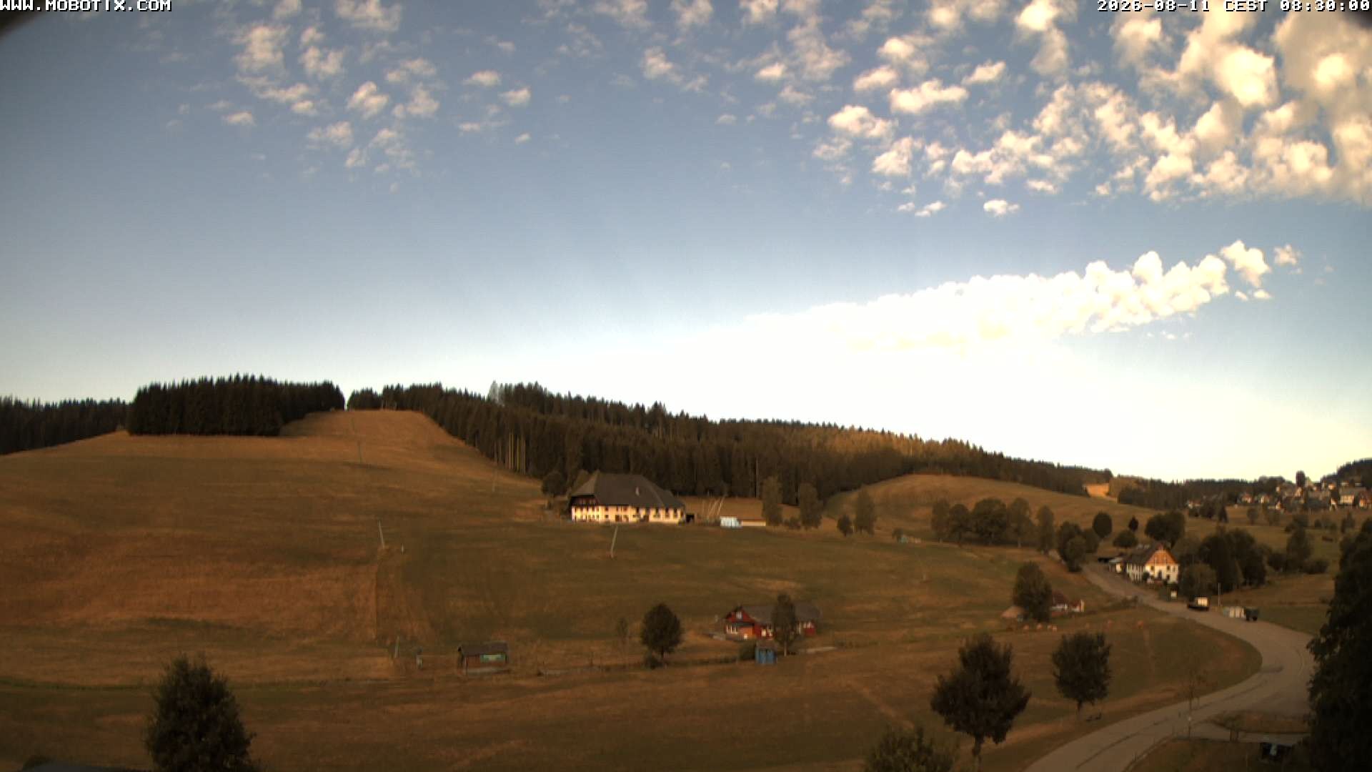 Archiv Foto Webcam Schneeberglift Waldau, Titisee