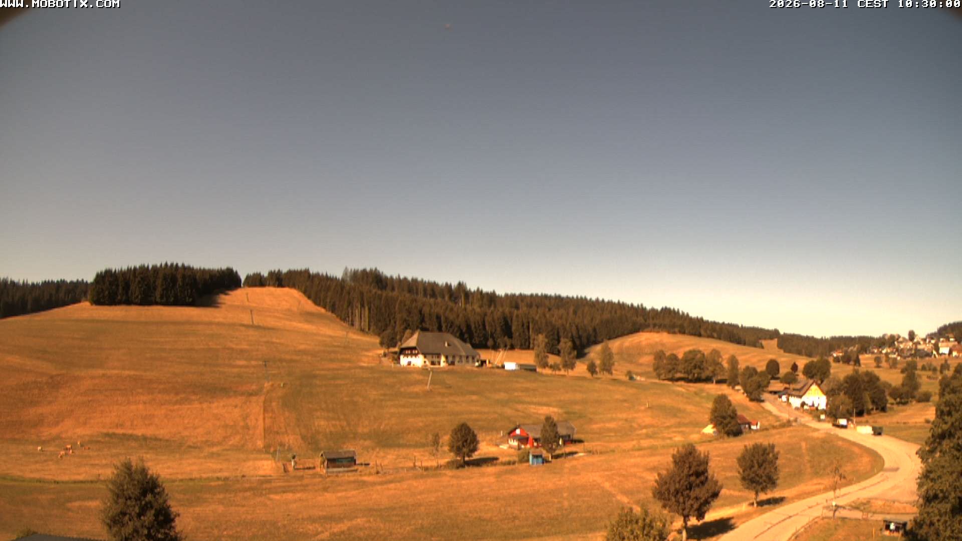 Archiv Foto Webcam Schneeberglift Waldau, Titisee