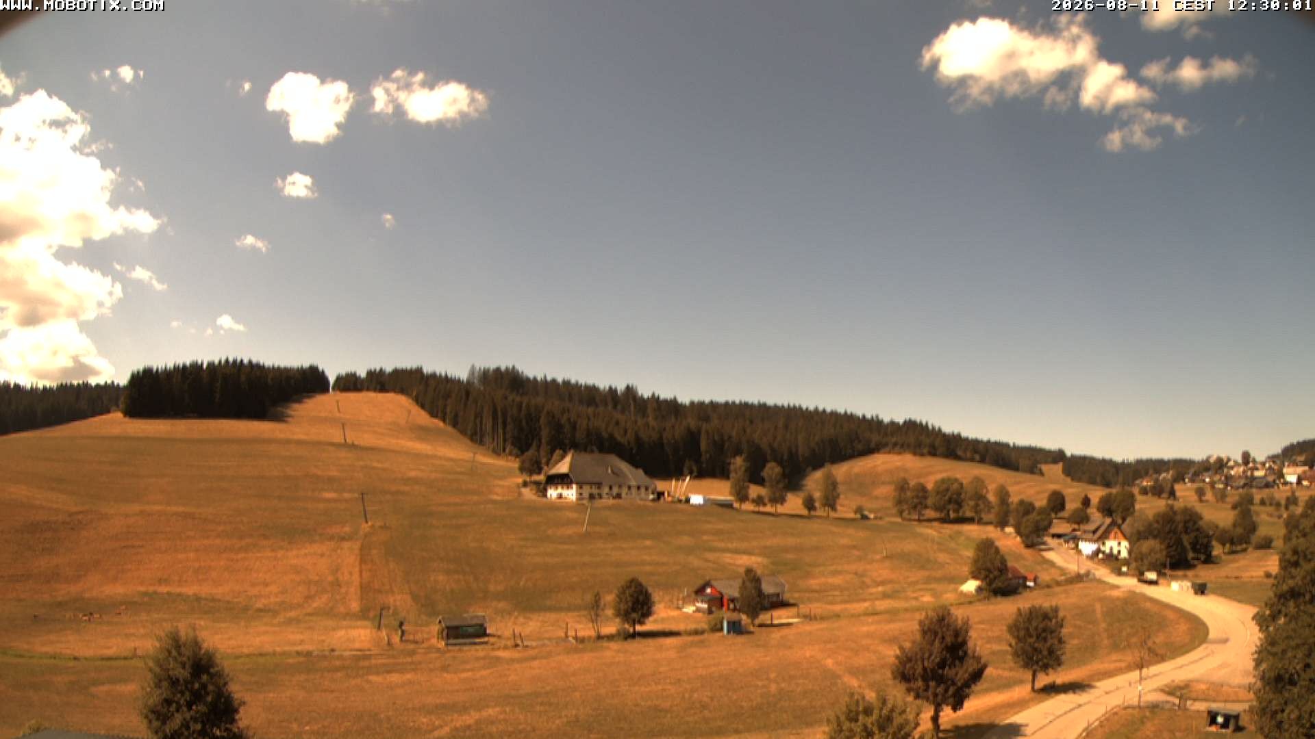 Archiv Foto Webcam Schneeberglift Waldau, Titisee