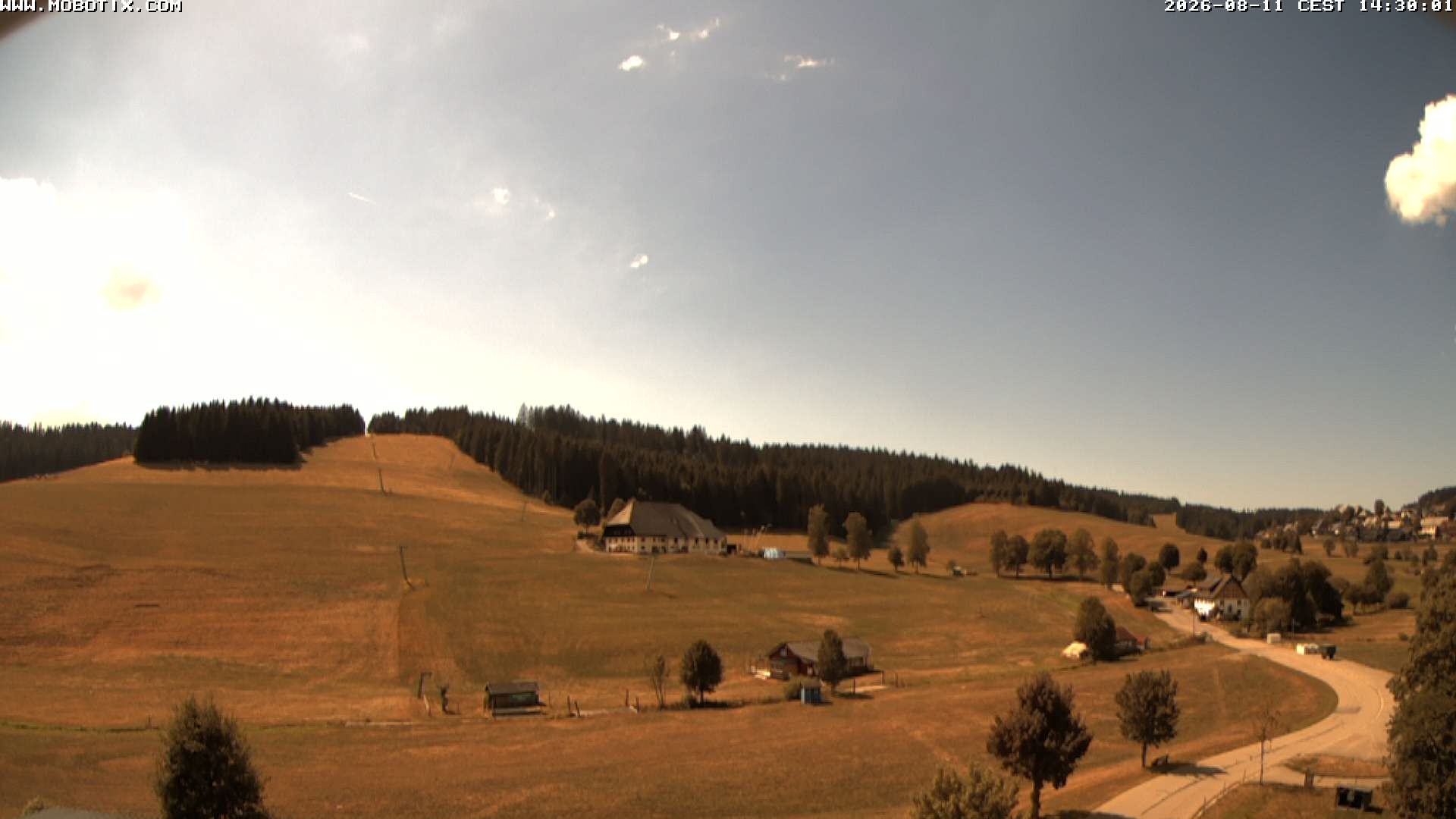 Archiv Foto Webcam Schneeberglift Waldau, Titisee