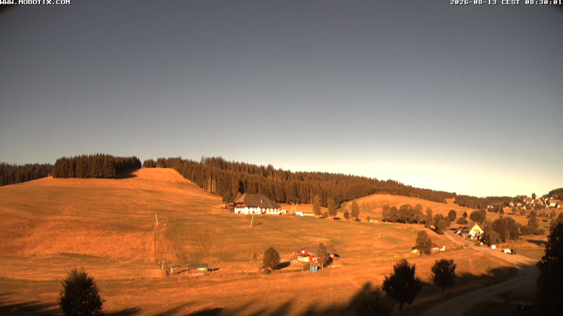 Archiv Foto Webcam Schneeberglift Waldau, Titisee