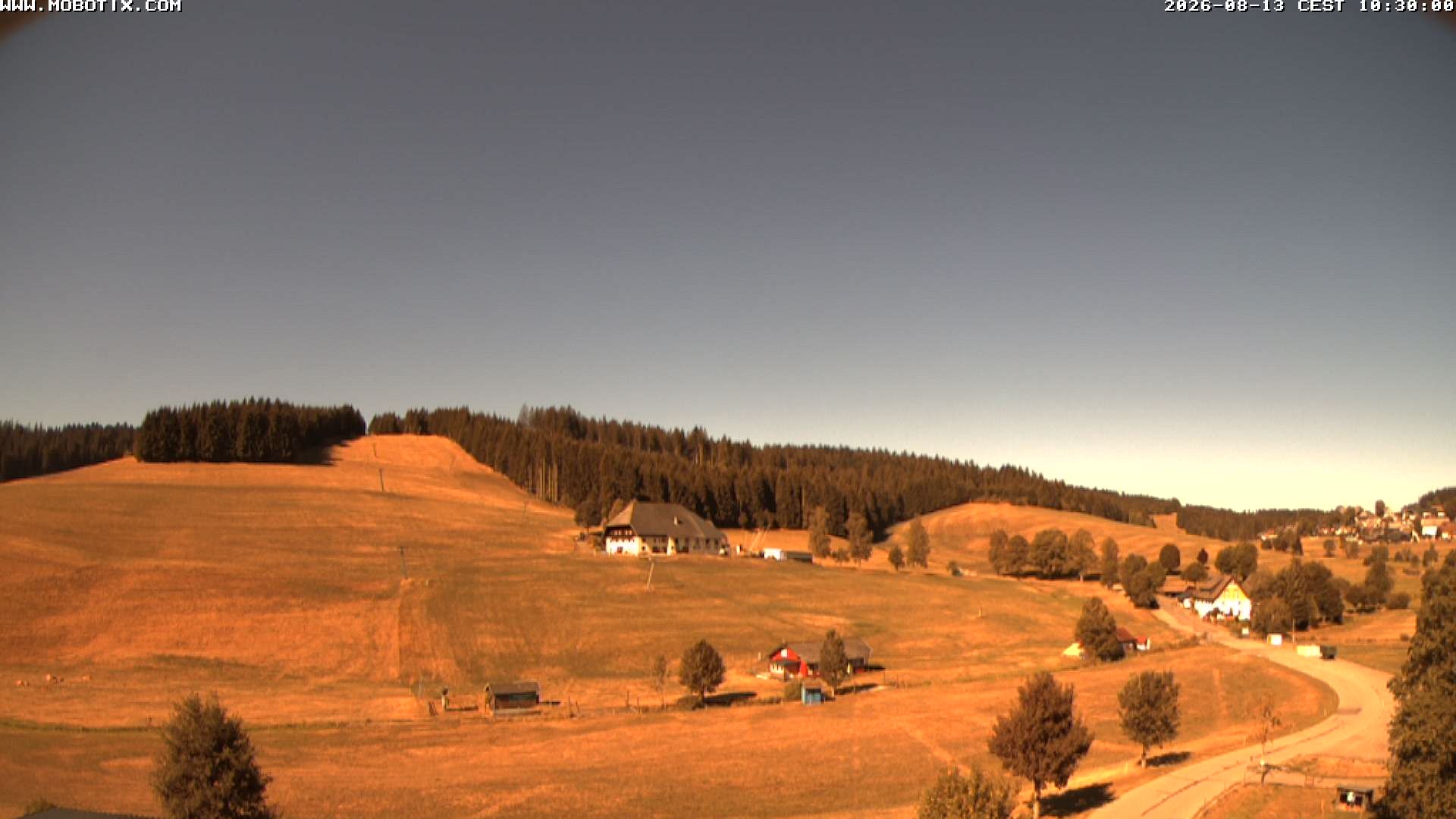 Archiv Foto Webcam Schneeberglift Waldau, Titisee