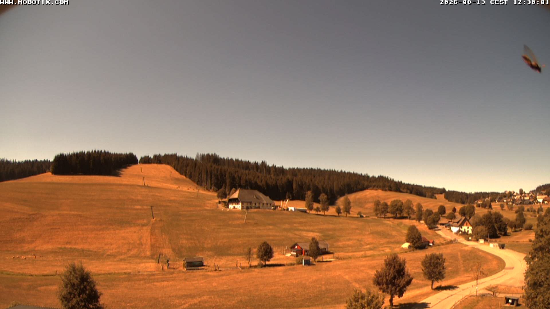 Archiv Foto Webcam Schneeberglift Waldau, Titisee
