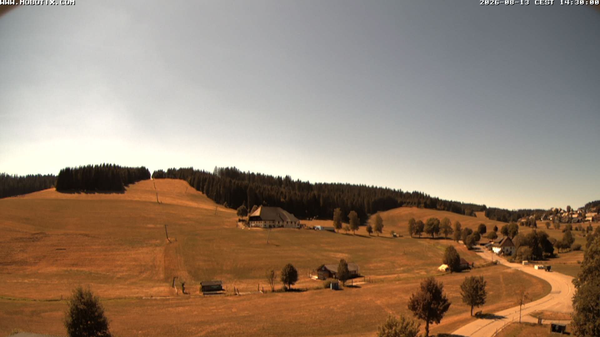 Archiv Foto Webcam Schneeberglift Waldau, Titisee