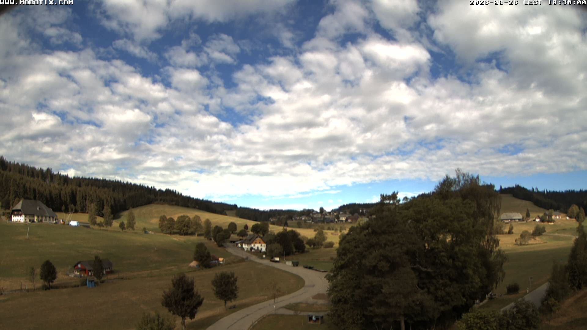 Archiv Foto Webcam Schneeberglift Waldau, Titisee