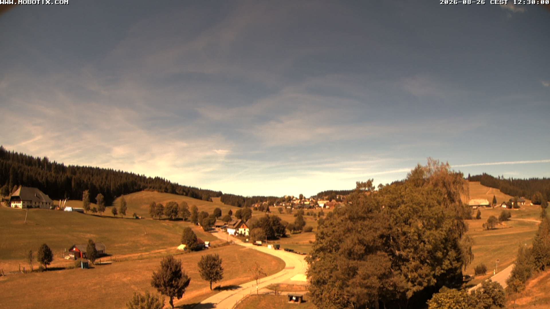 Archiv Foto Webcam Schneeberglift Waldau, Titisee