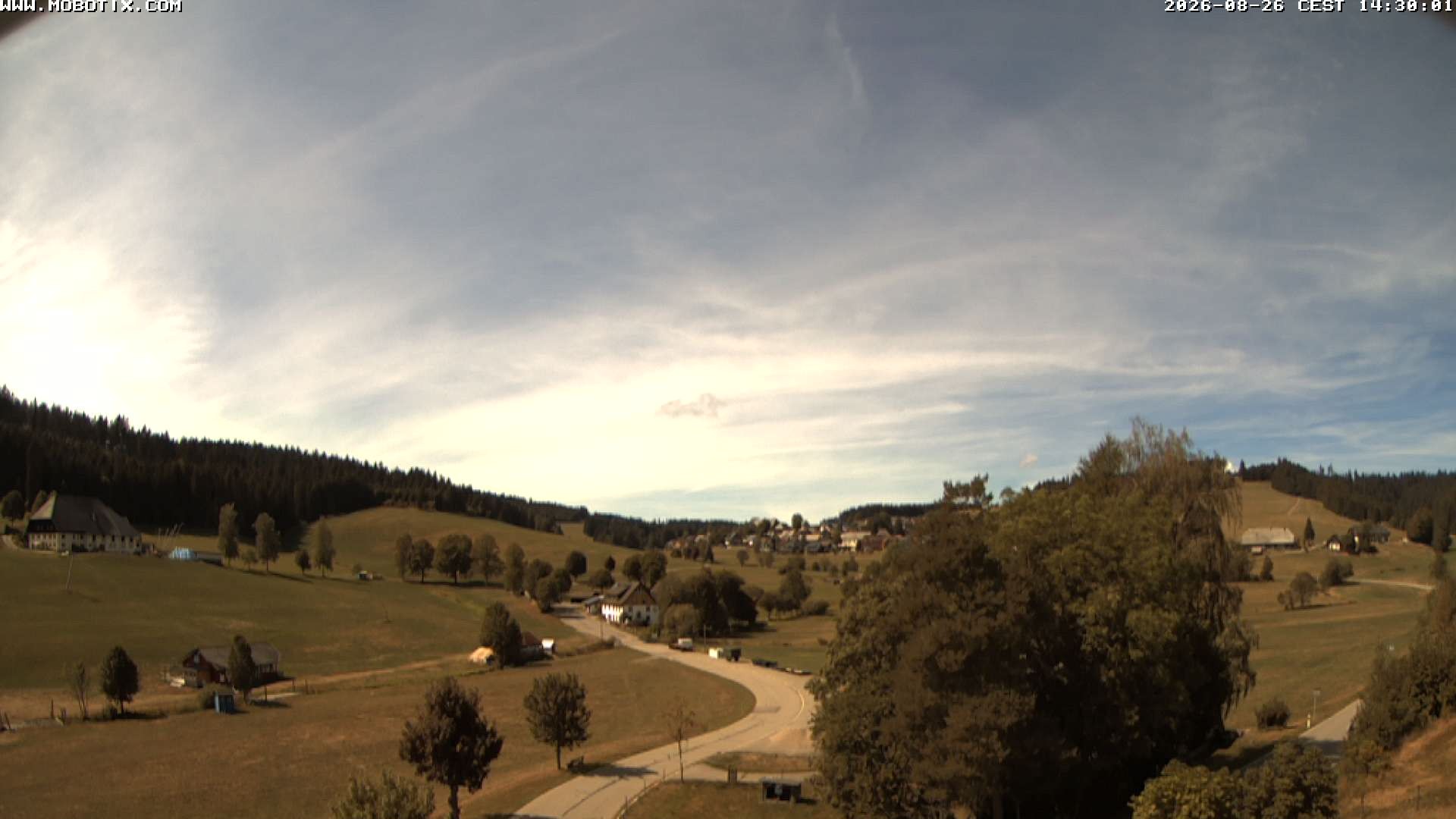 Archiv Foto Webcam Schneeberglift Waldau, Titisee
