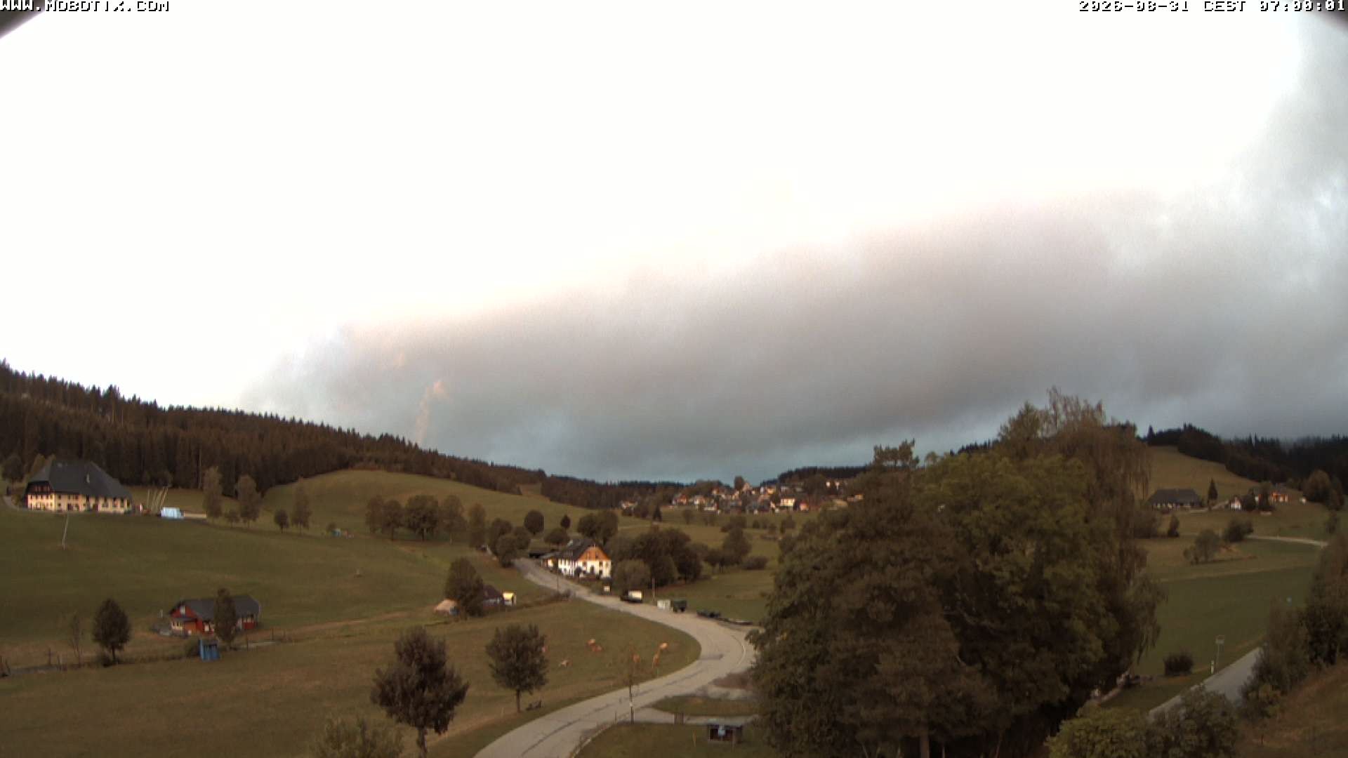 Archiv Foto Webcam Schneeberglift Waldau, Titisee