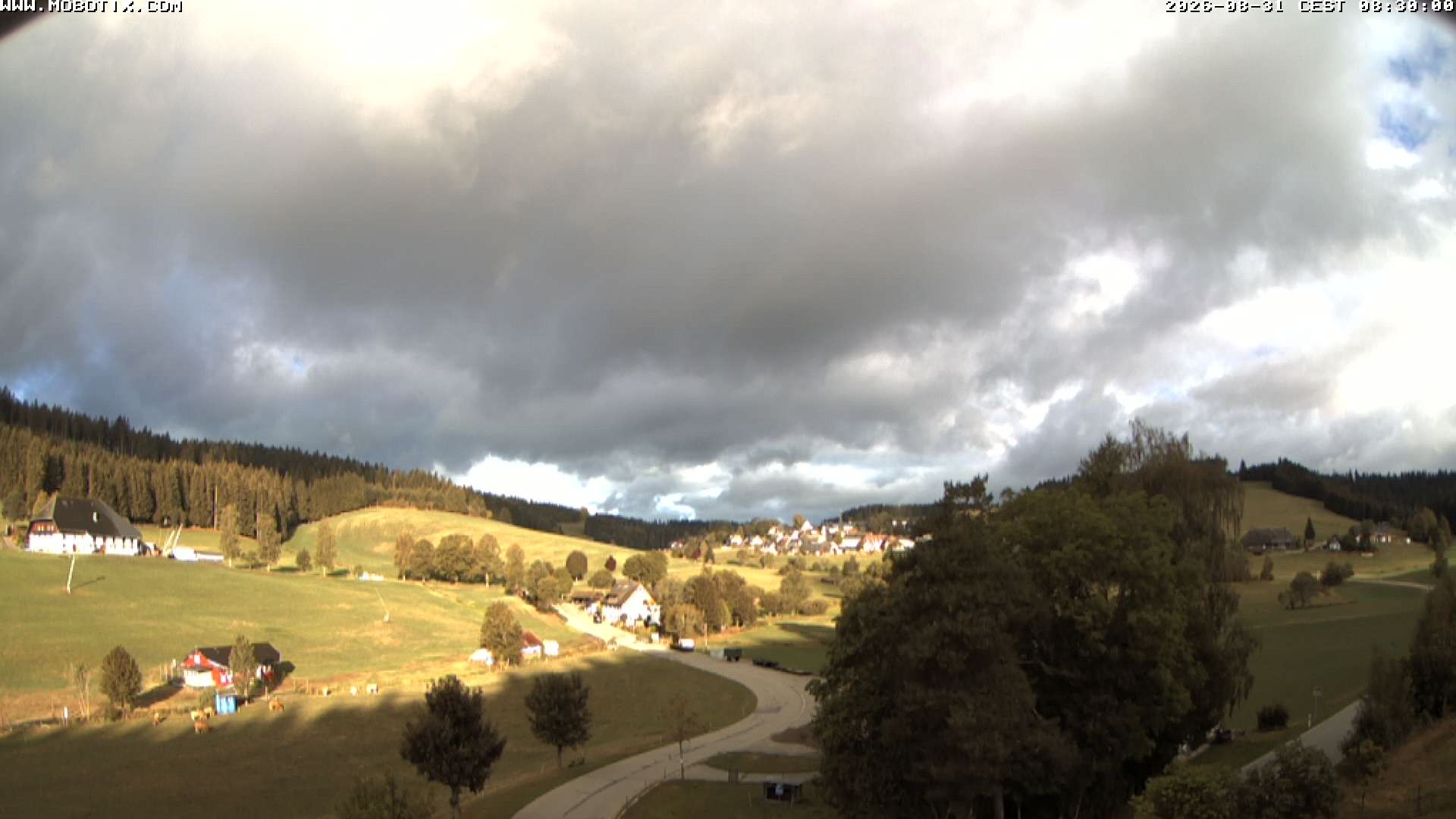 Archiv Foto Webcam Schneeberglift Waldau, Titisee