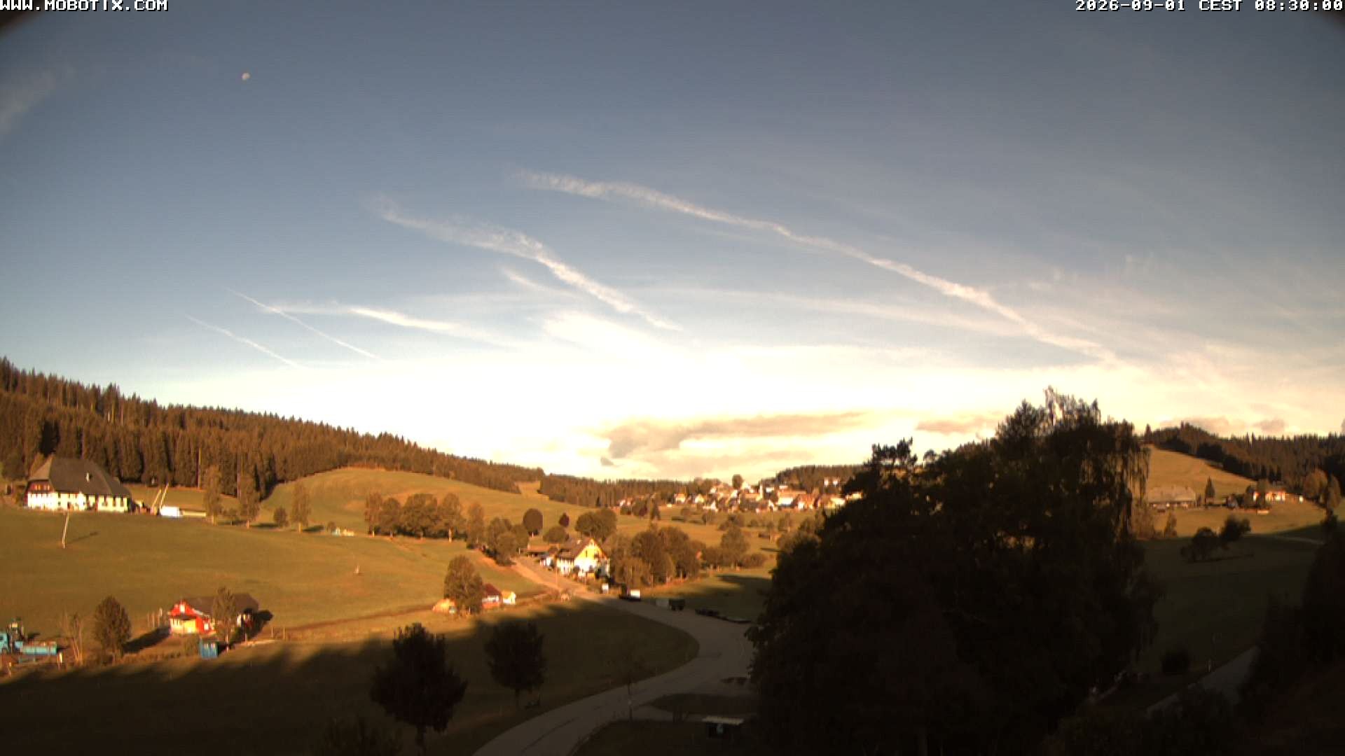 Archiv Foto Webcam Schneeberglift Waldau, Titisee