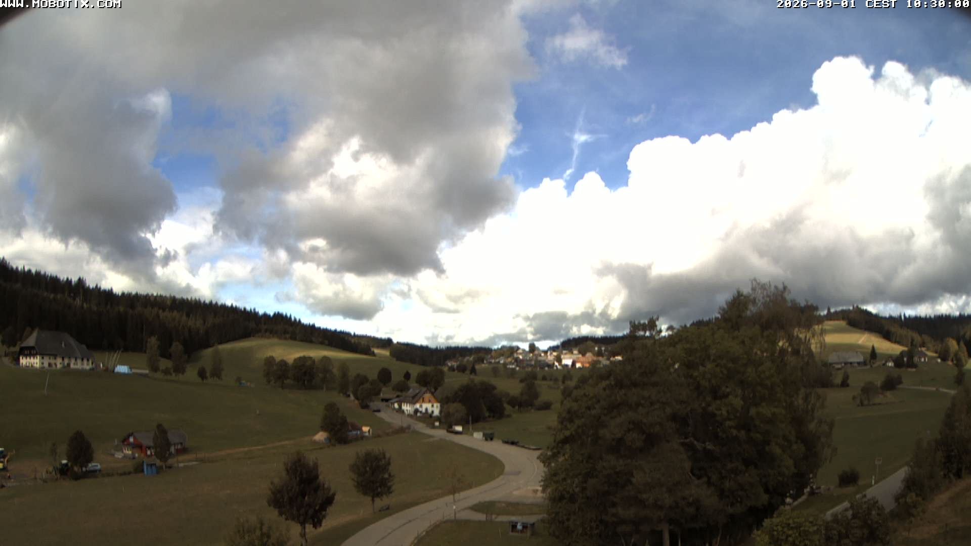 Archiv Foto Webcam Schneeberglift Waldau, Titisee