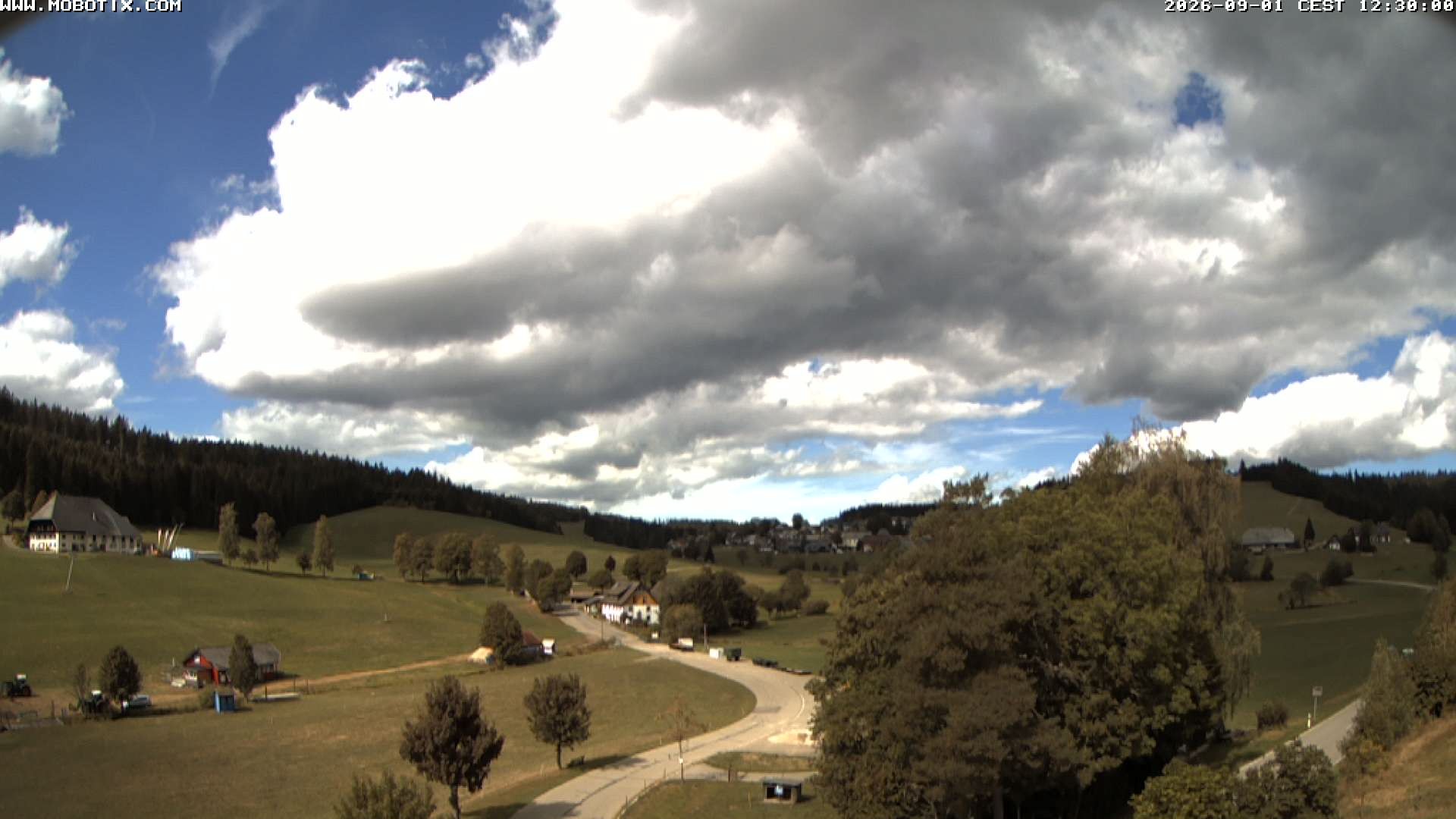 Archiv Foto Webcam Schneeberglift Waldau, Titisee