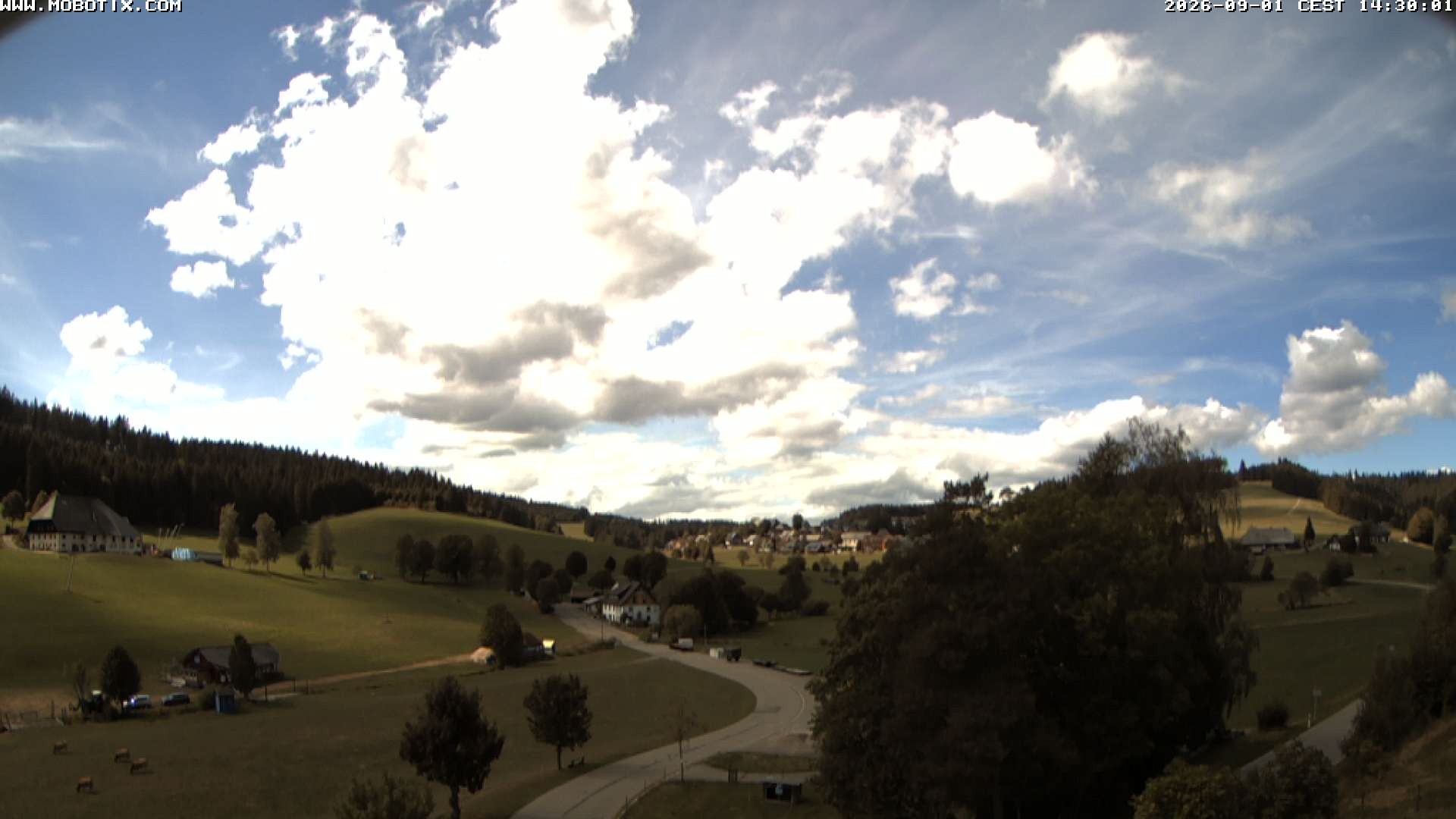 Archiv Foto Webcam Schneeberglift Waldau, Titisee