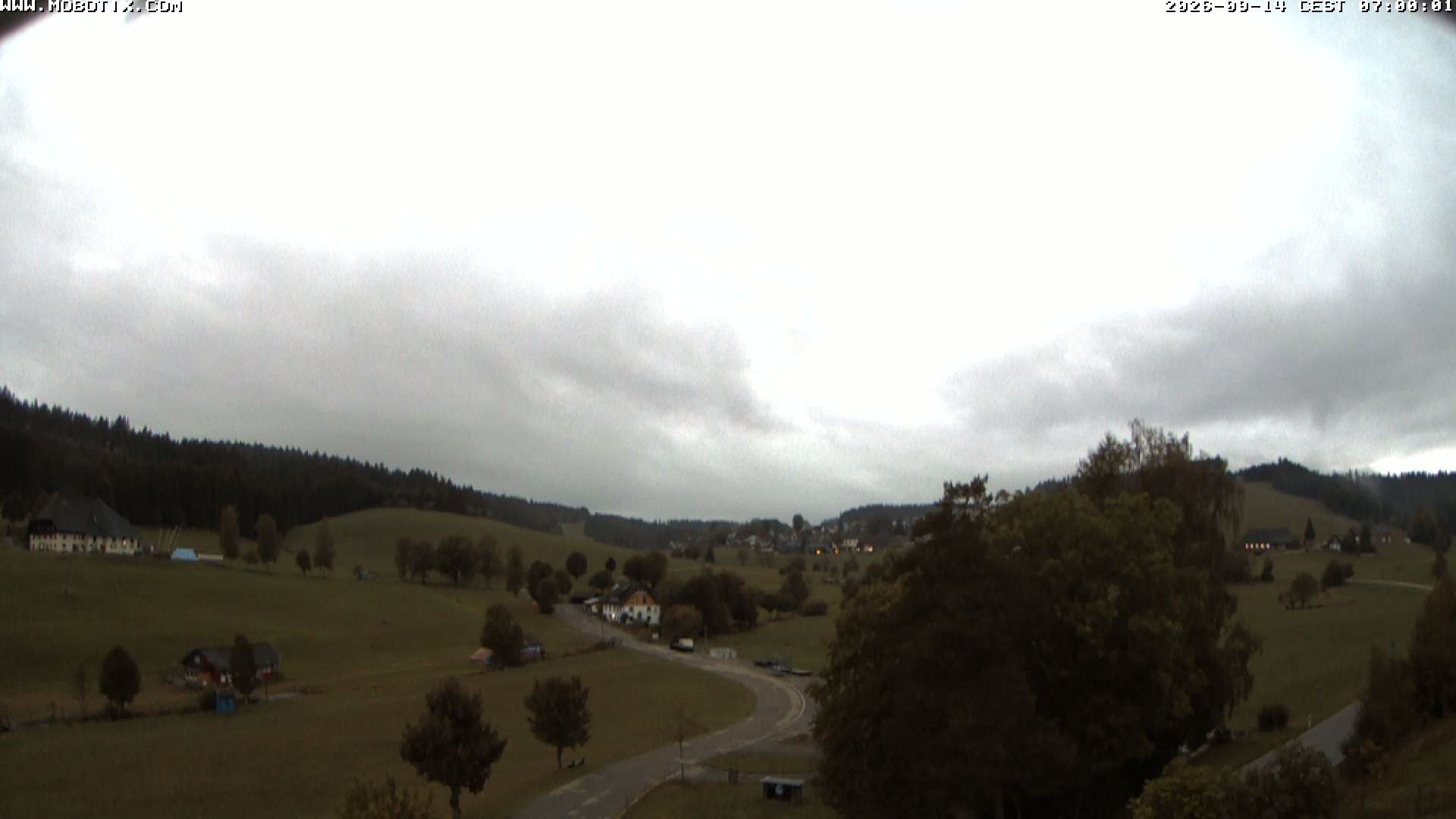 Archiv Foto Webcam Schneeberglift Waldau, Titisee
