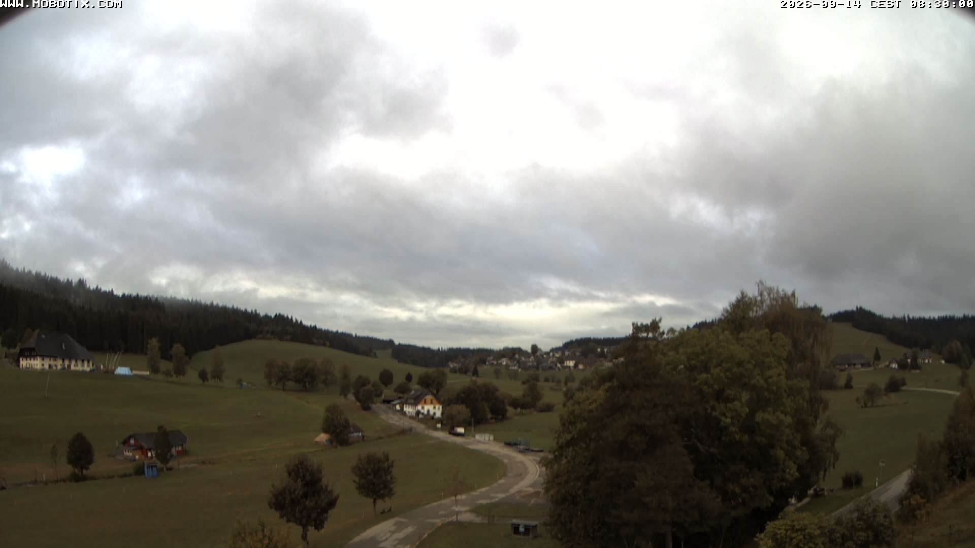 Archiv Foto Webcam Schneeberglift Waldau, Titisee