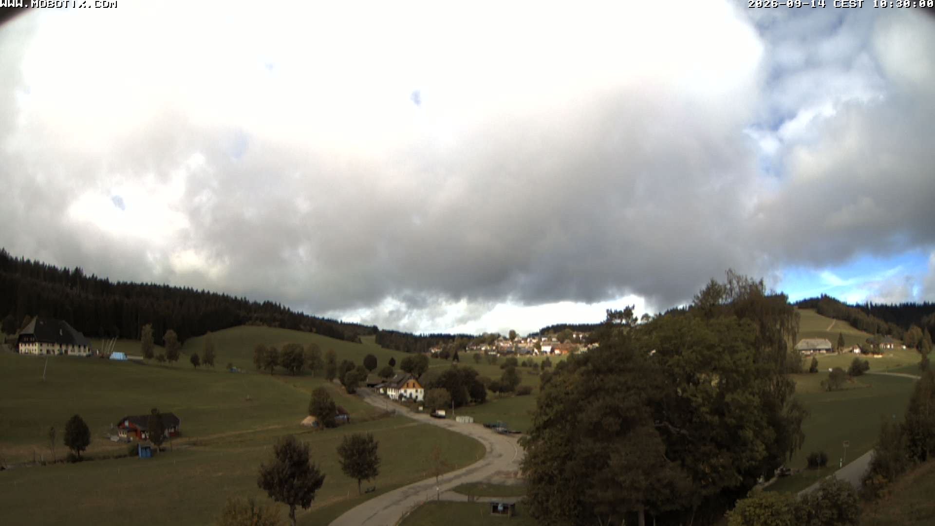 Archiv Foto Webcam Schneeberglift Waldau, Titisee