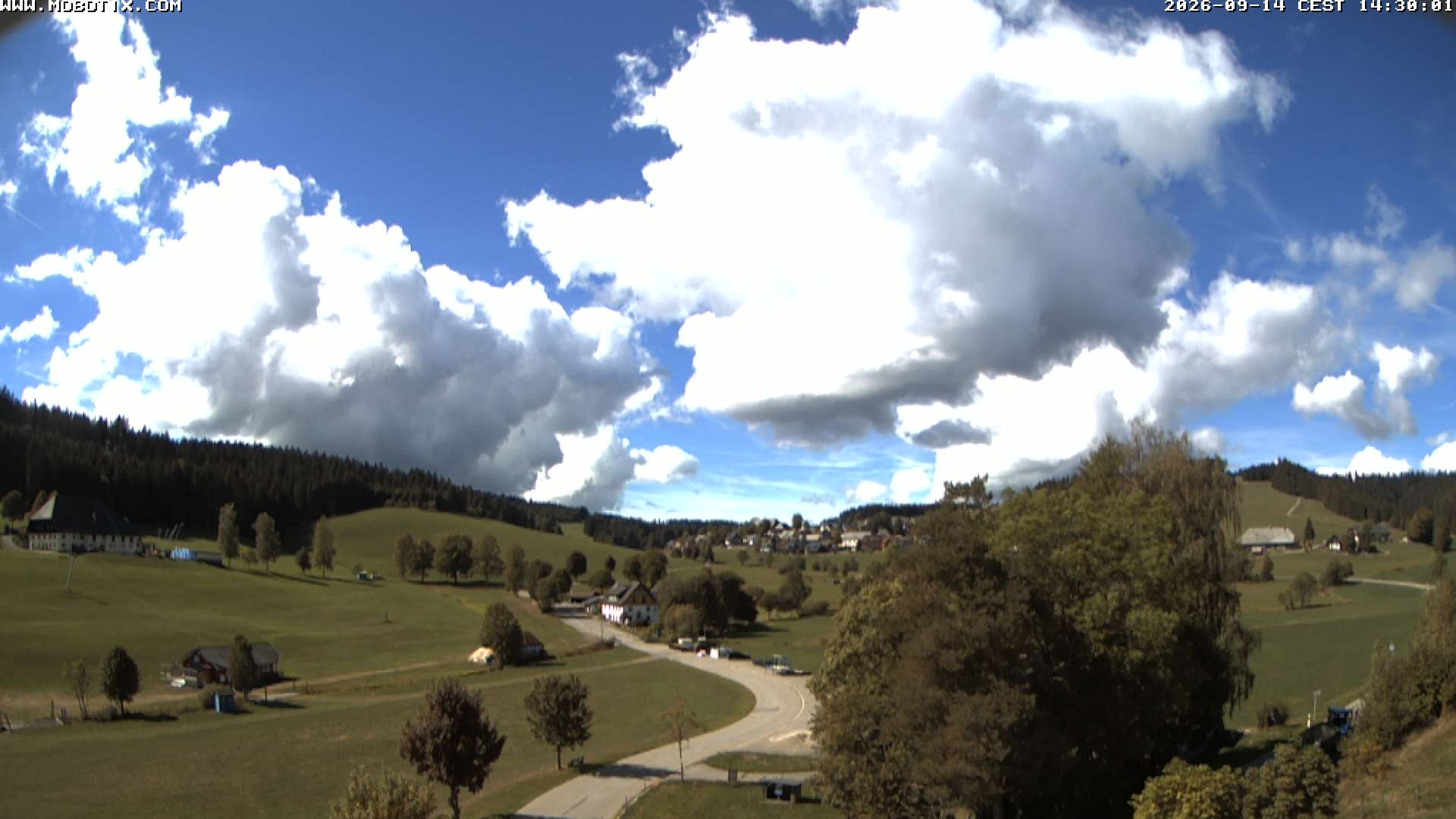 Archiv Foto Webcam Schneeberglift Waldau, Titisee