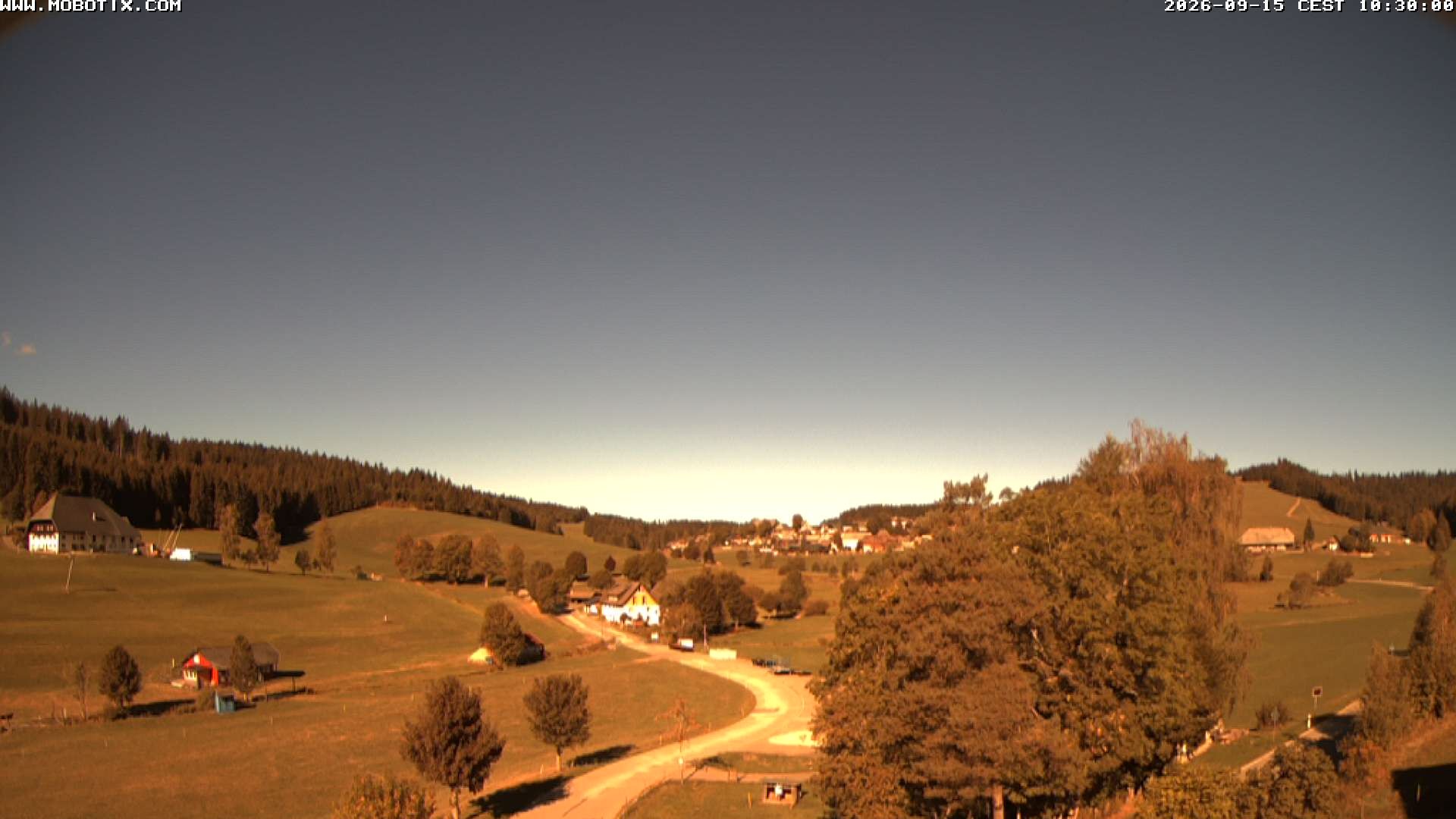 Archived image Webcam Schneeberg ski lift (Titisee)