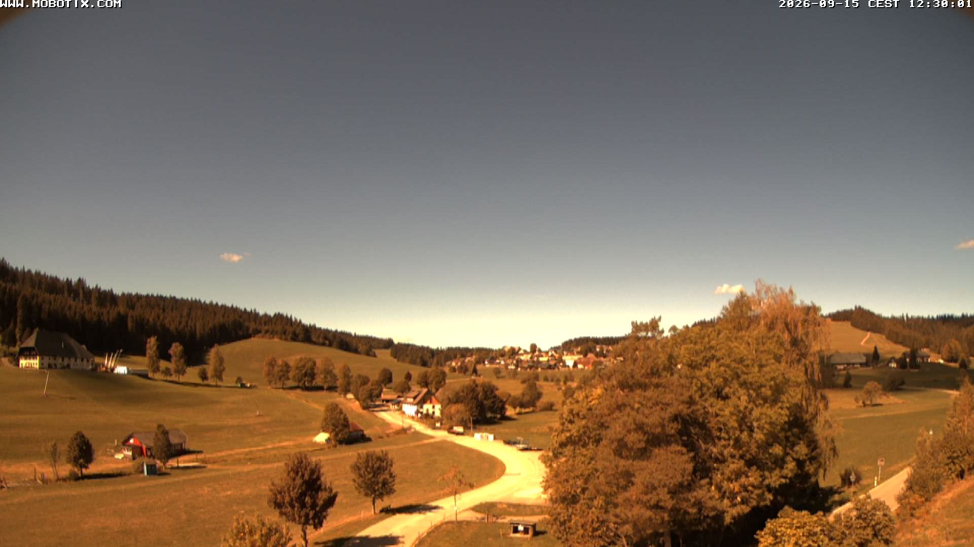 Archived image Webcam Schneeberg ski lift (Titisee)