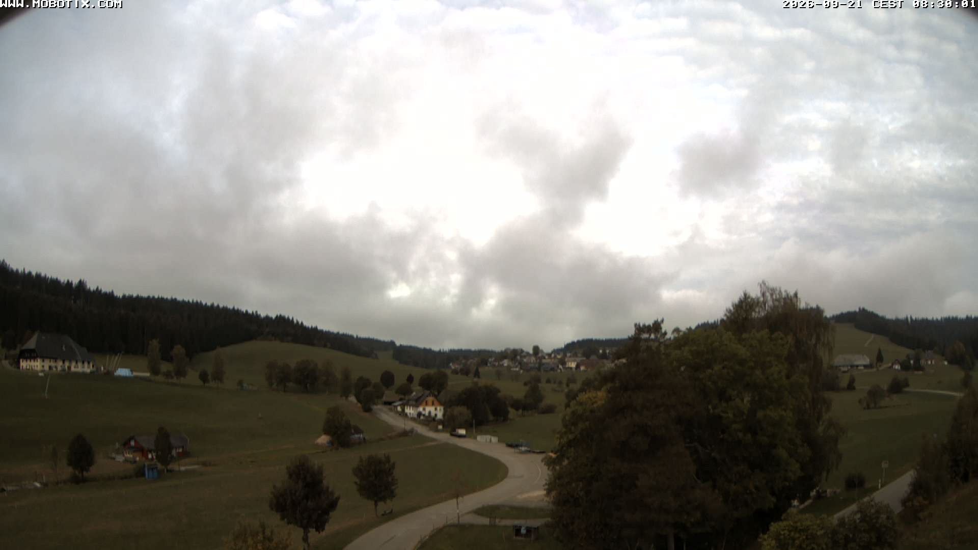Archiv Foto Webcam Schneeberglift Waldau, Titisee