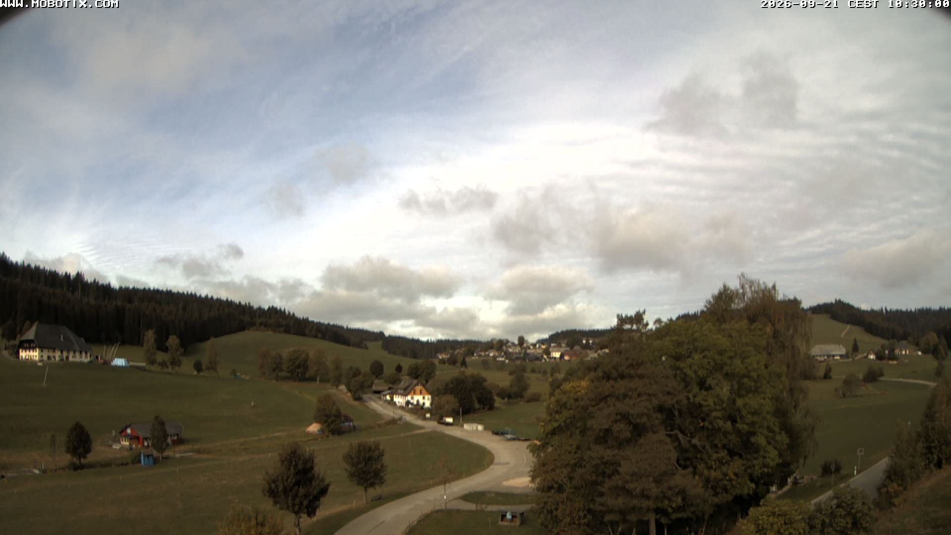Archiv Foto Webcam Schneeberglift Waldau, Titisee