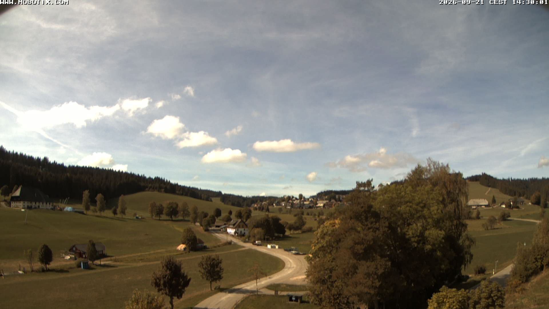 Archiv Foto Webcam Schneeberglift Waldau, Titisee