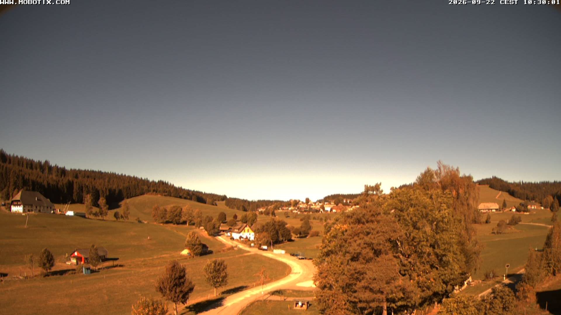 Archiv Foto Webcam Schneeberglift Waldau, Titisee