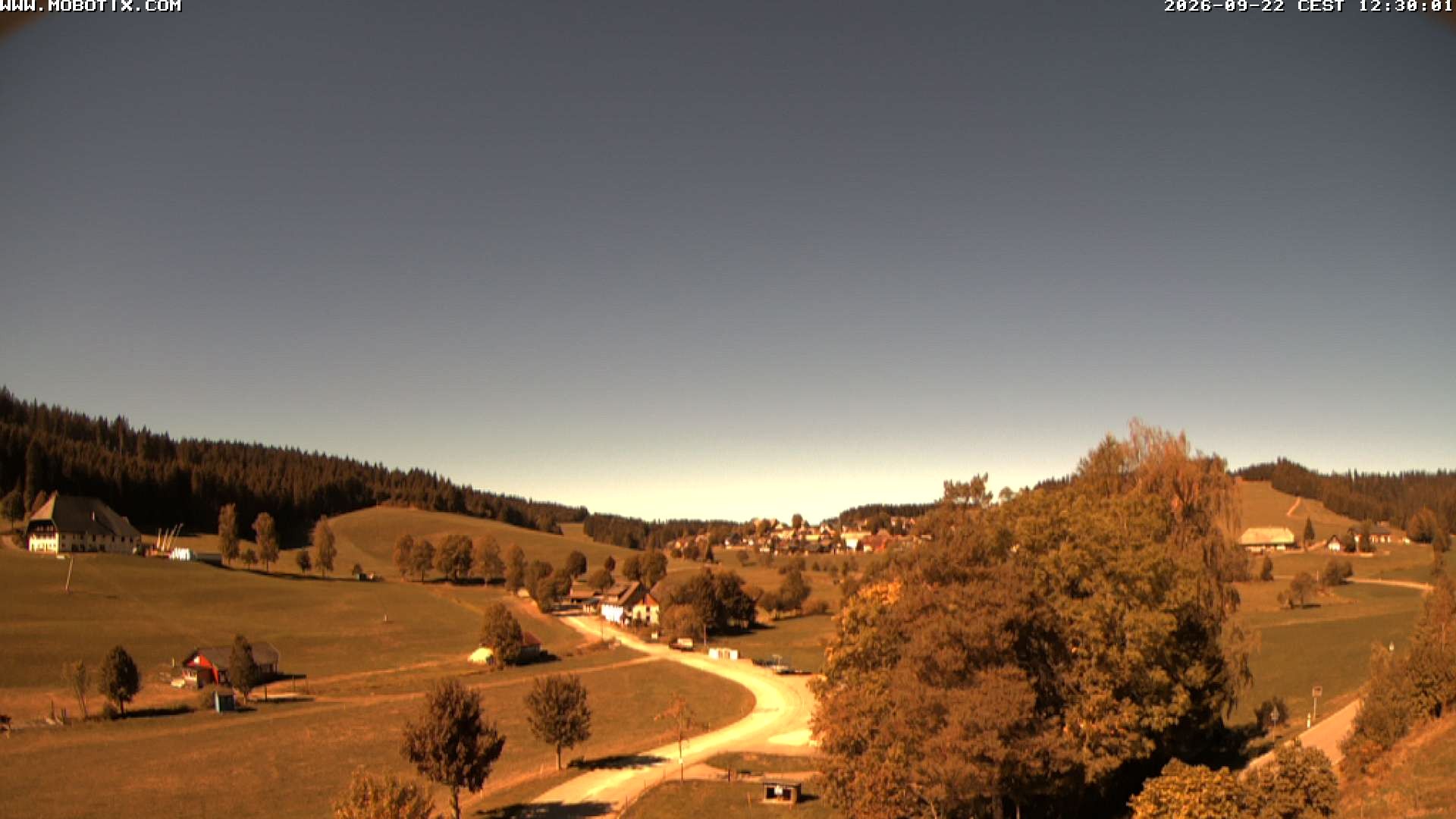 Archiv Foto Webcam Schneeberglift Waldau, Titisee