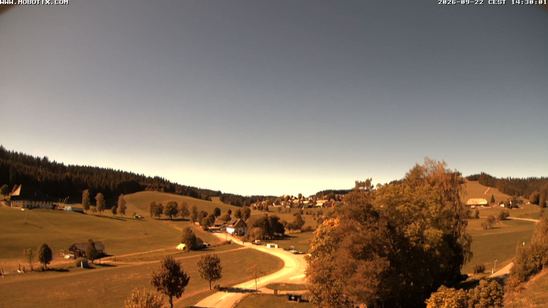 Archiv Foto Webcam Schneeberglift Waldau, Titisee