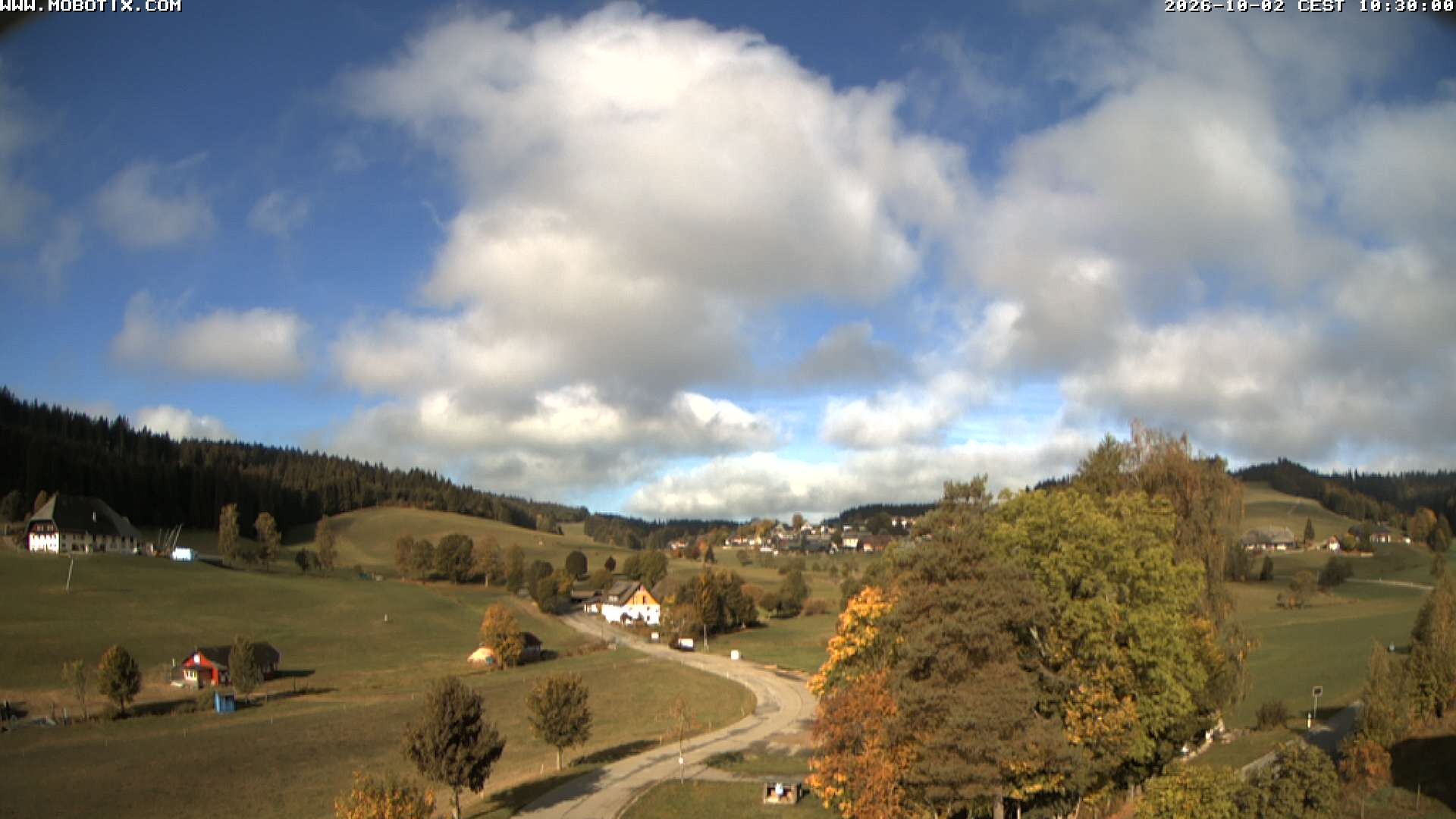Archived image Webcam Schneeberg ski lift (Titisee)