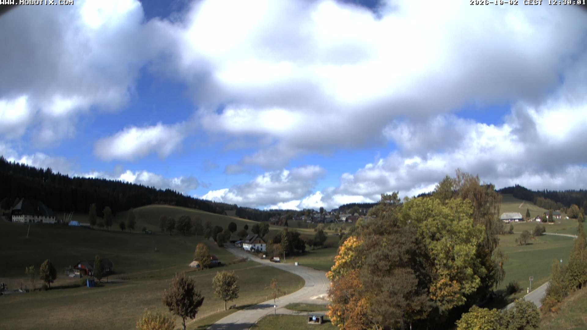 Archived image Webcam Schneeberg ski lift (Titisee)