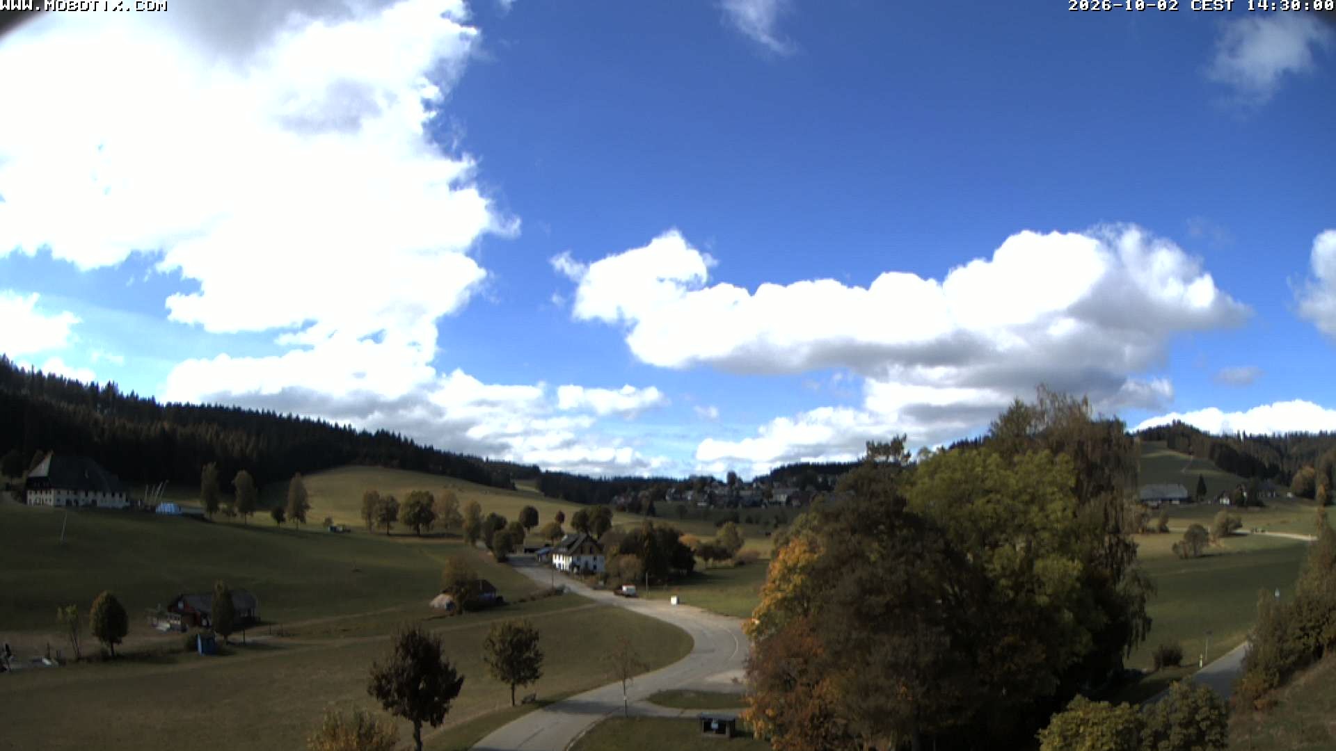 Archived image Webcam Schneeberg ski lift (Titisee)